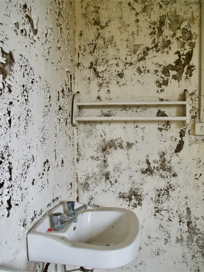 urbex-les-goujons-26-778.webp