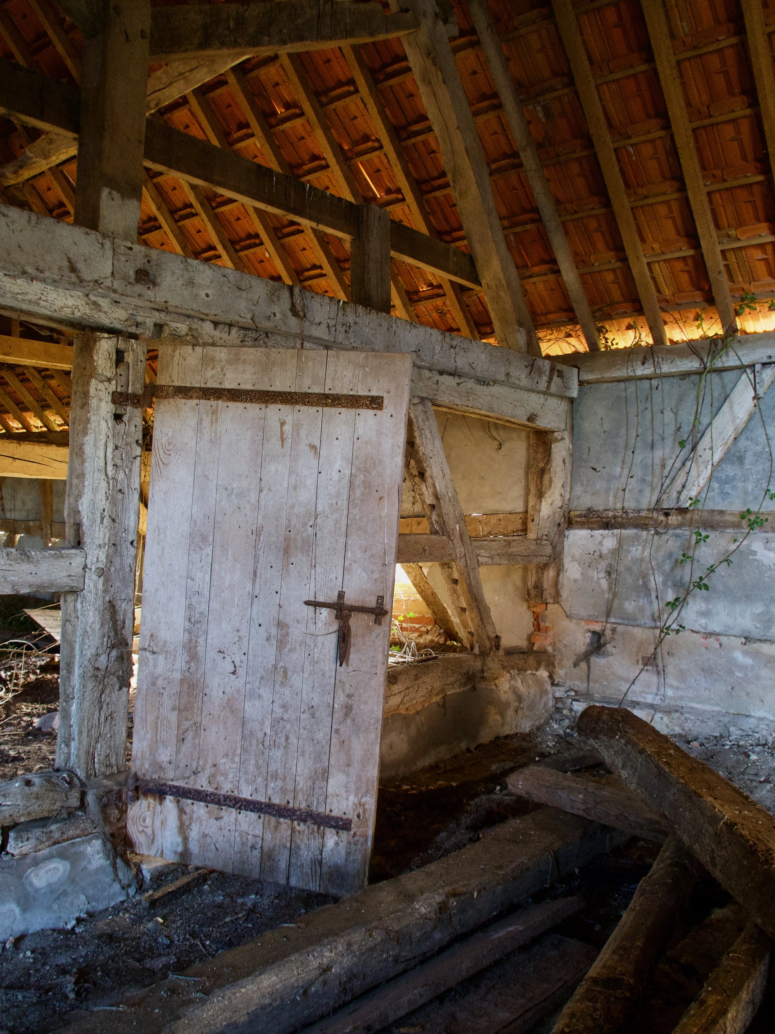Intérieur d'une vieille ferme ou grange en bois, avec une structure en bois visible, un toit en tuiles et un sol en terre, ambiance rustique
