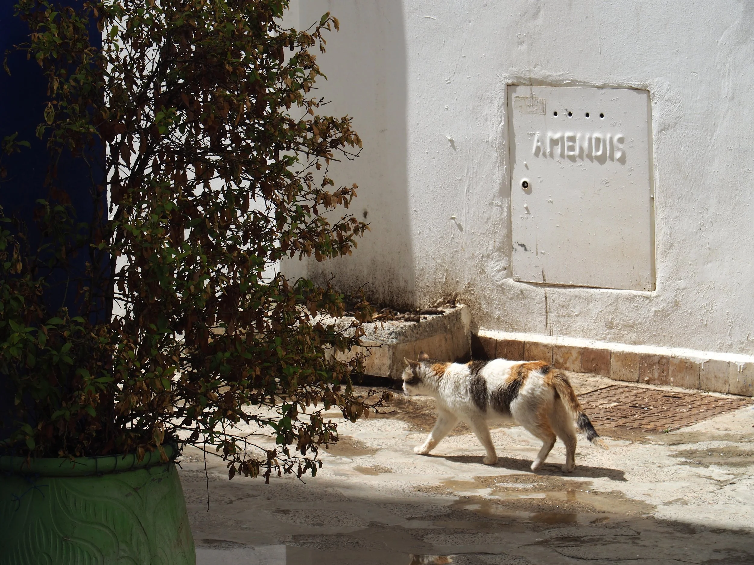 Maroc - Esilah - 19.jpeg
