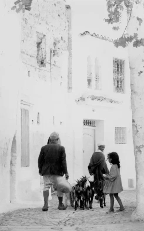 tunisie-maroc-3-490.webp