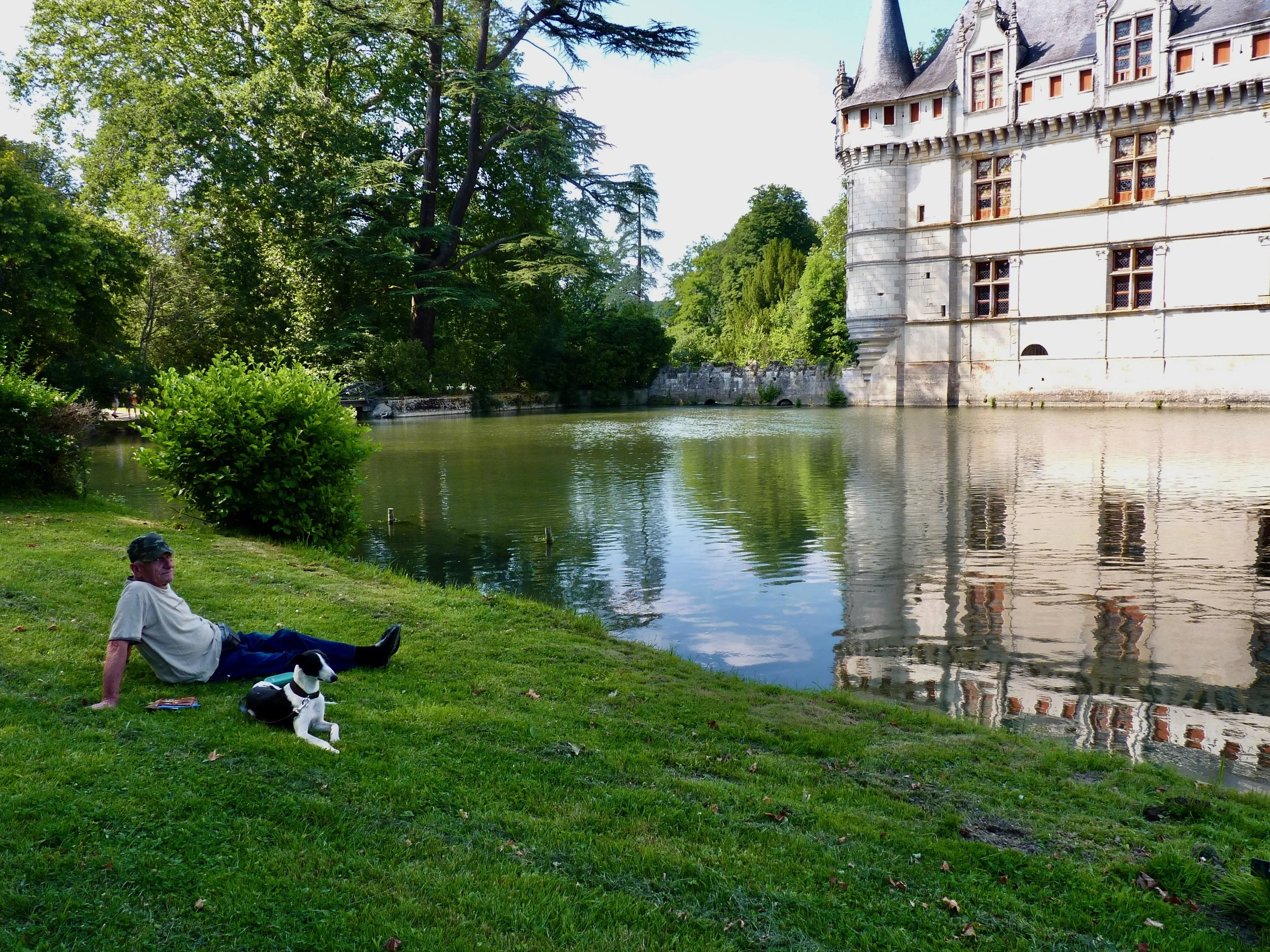 Une personne assise sur l'herbe près d'un lac, avec un chien, devant un château, entourée d'arbres verts, par une journée ensoleillée.