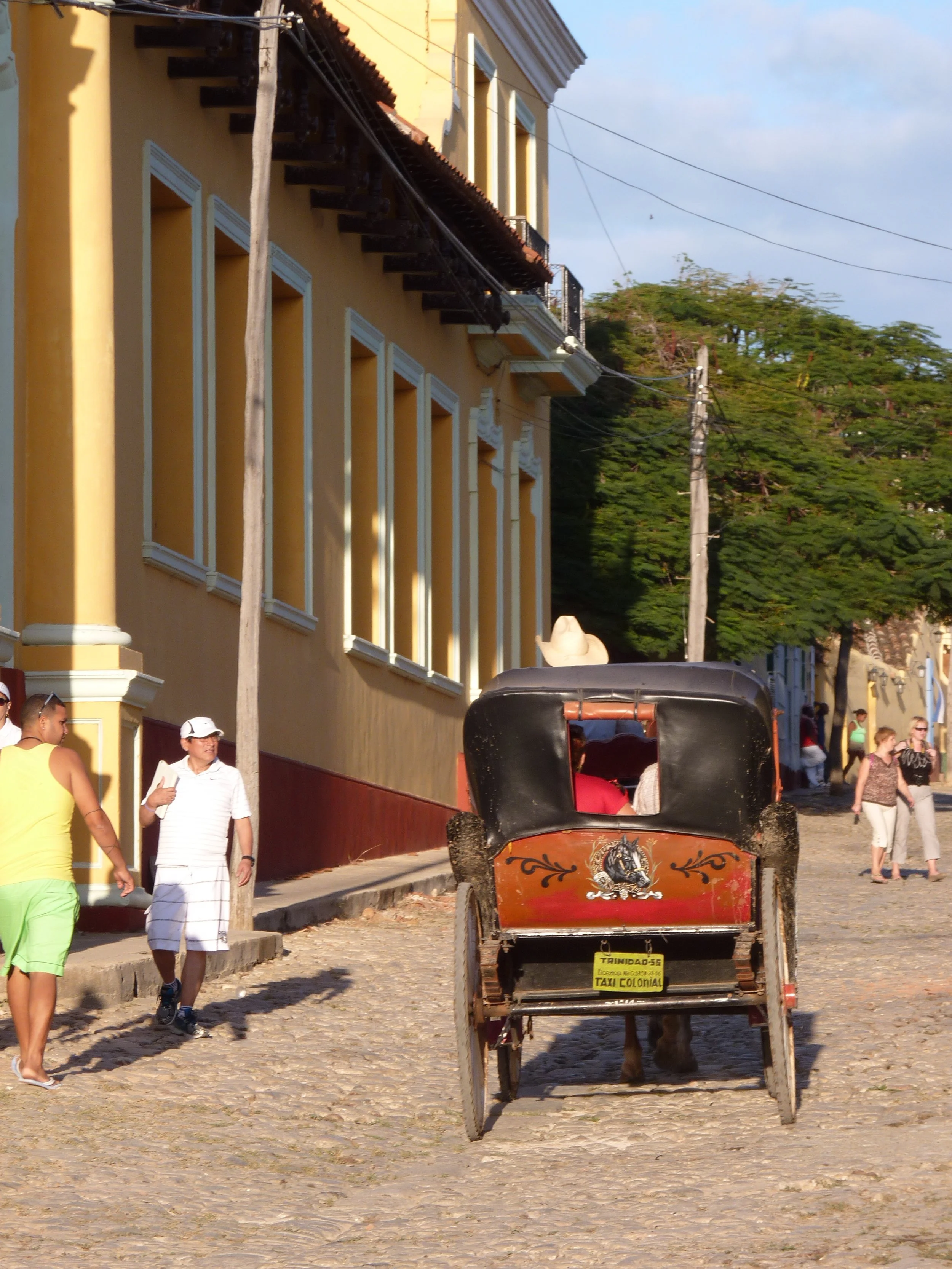 P1130248.jpg