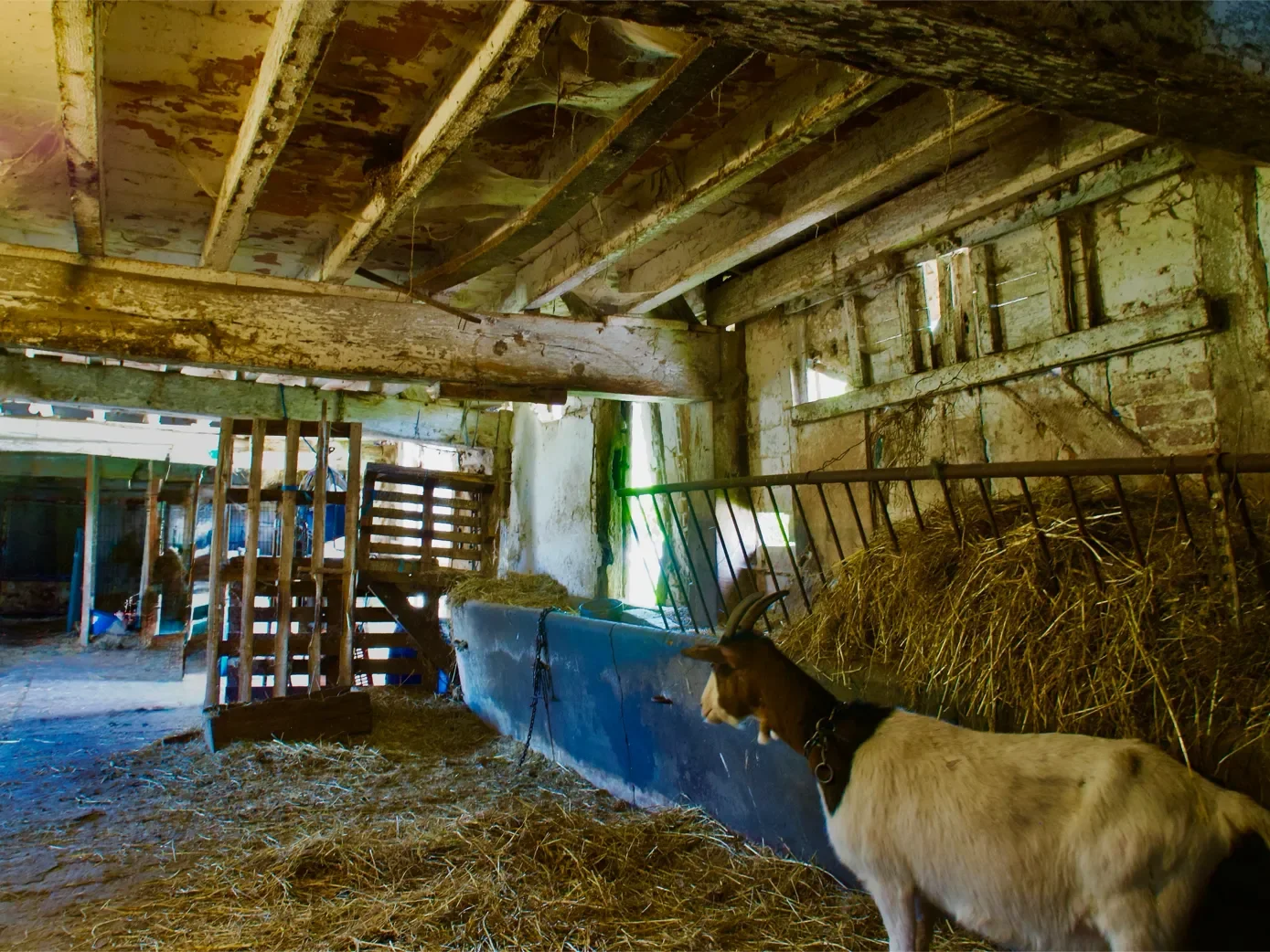 la-ferme-1eree-visite-19-1389.webp