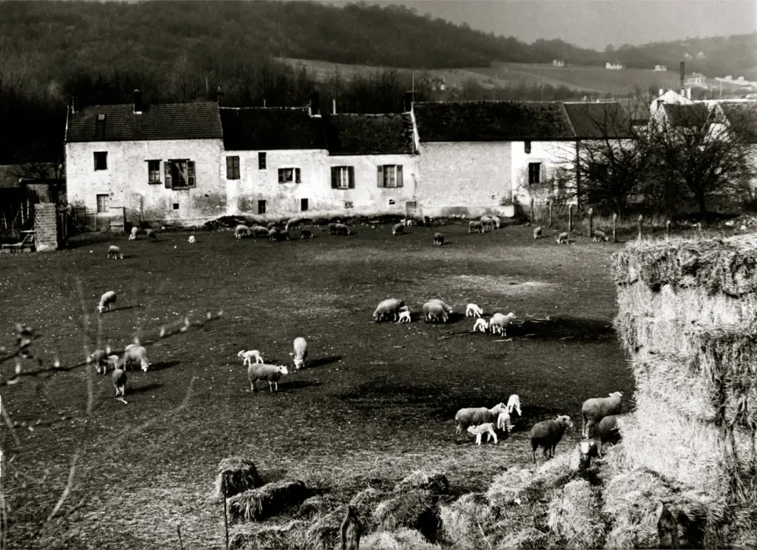 la-correze-15-1062.webp