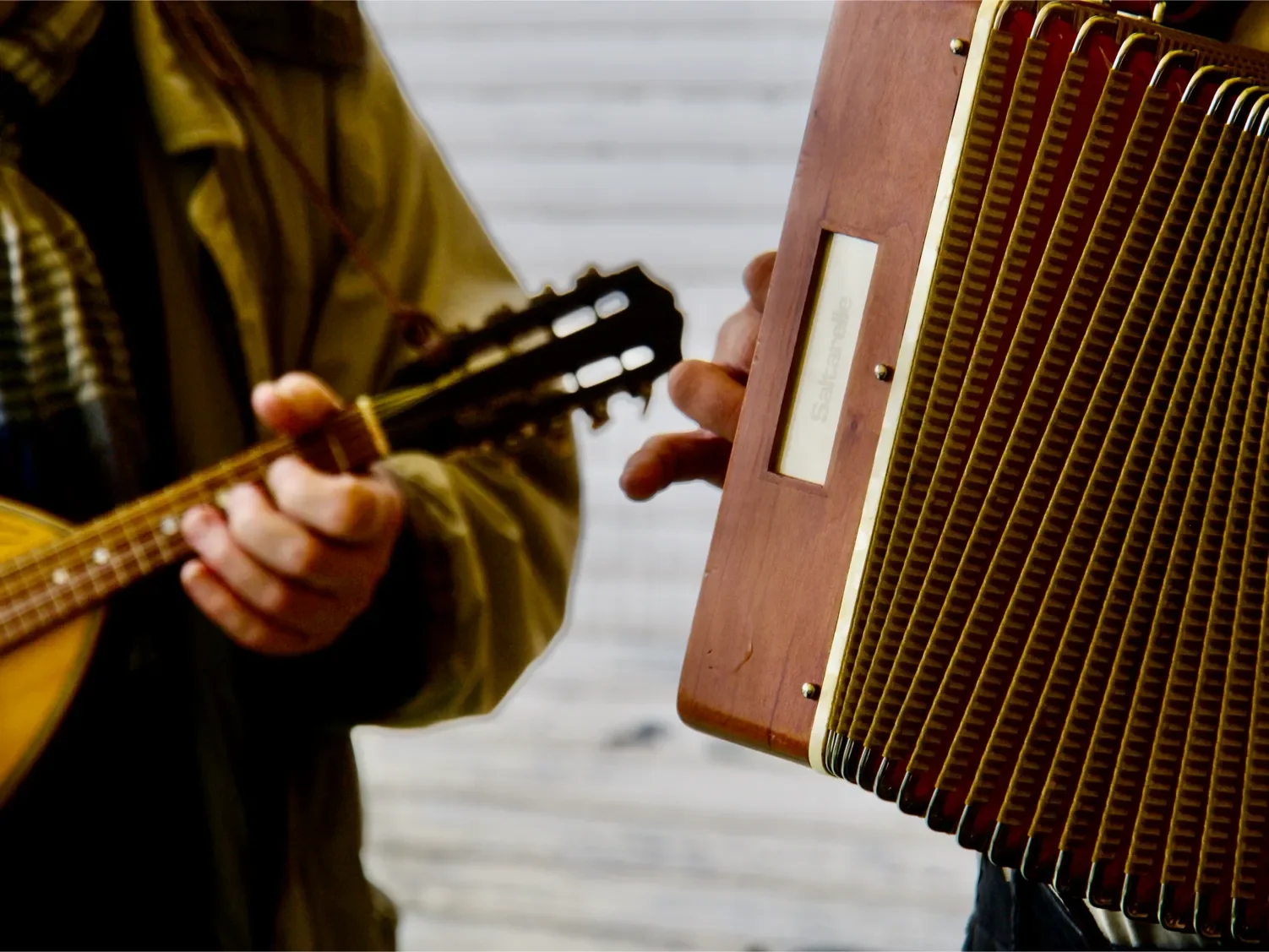 musicalies-pierrefitte-sur-sauldre-36-1502.webp