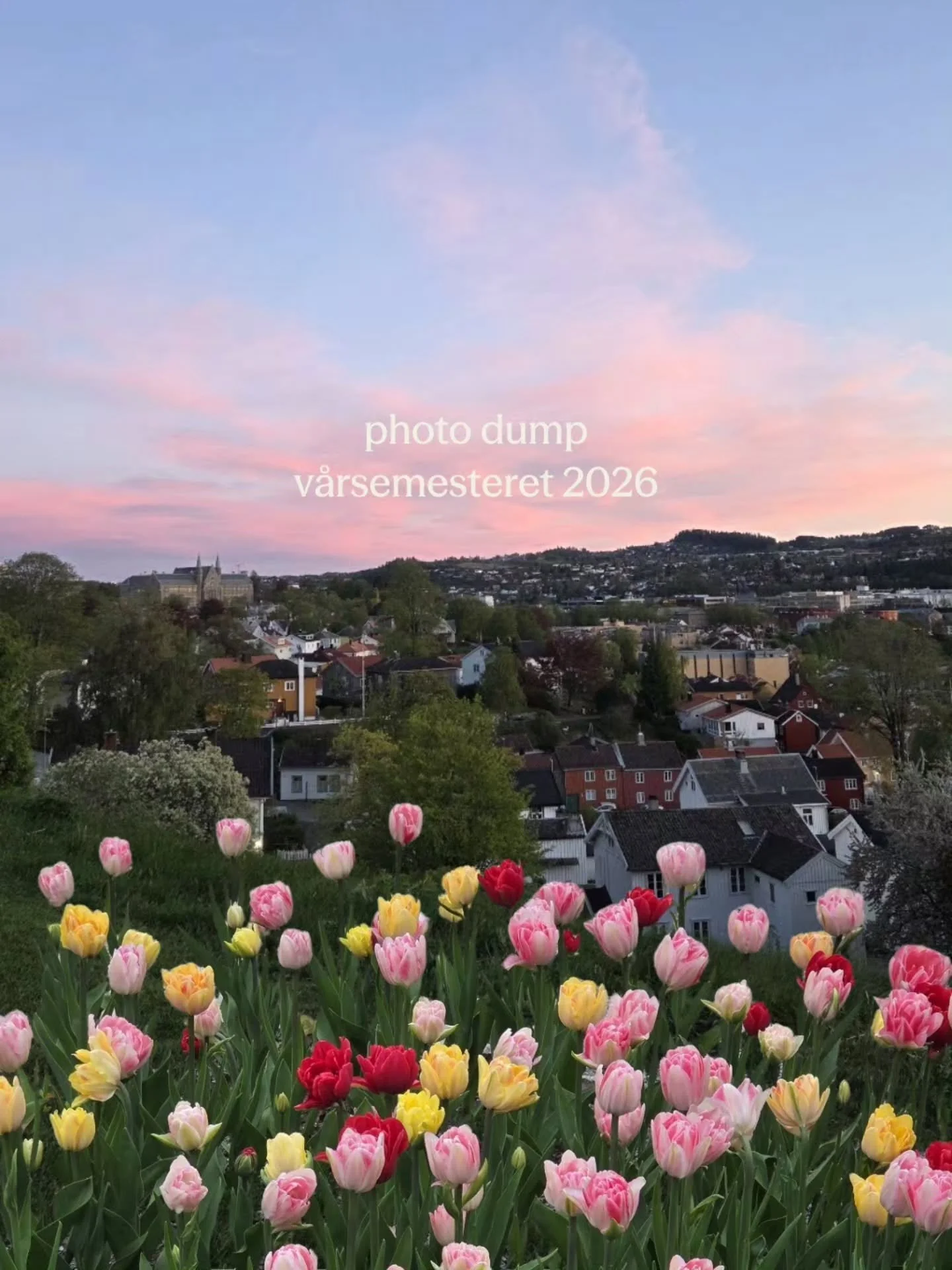 Glimt fra v&aring;rsemesteret i Trondheim💕