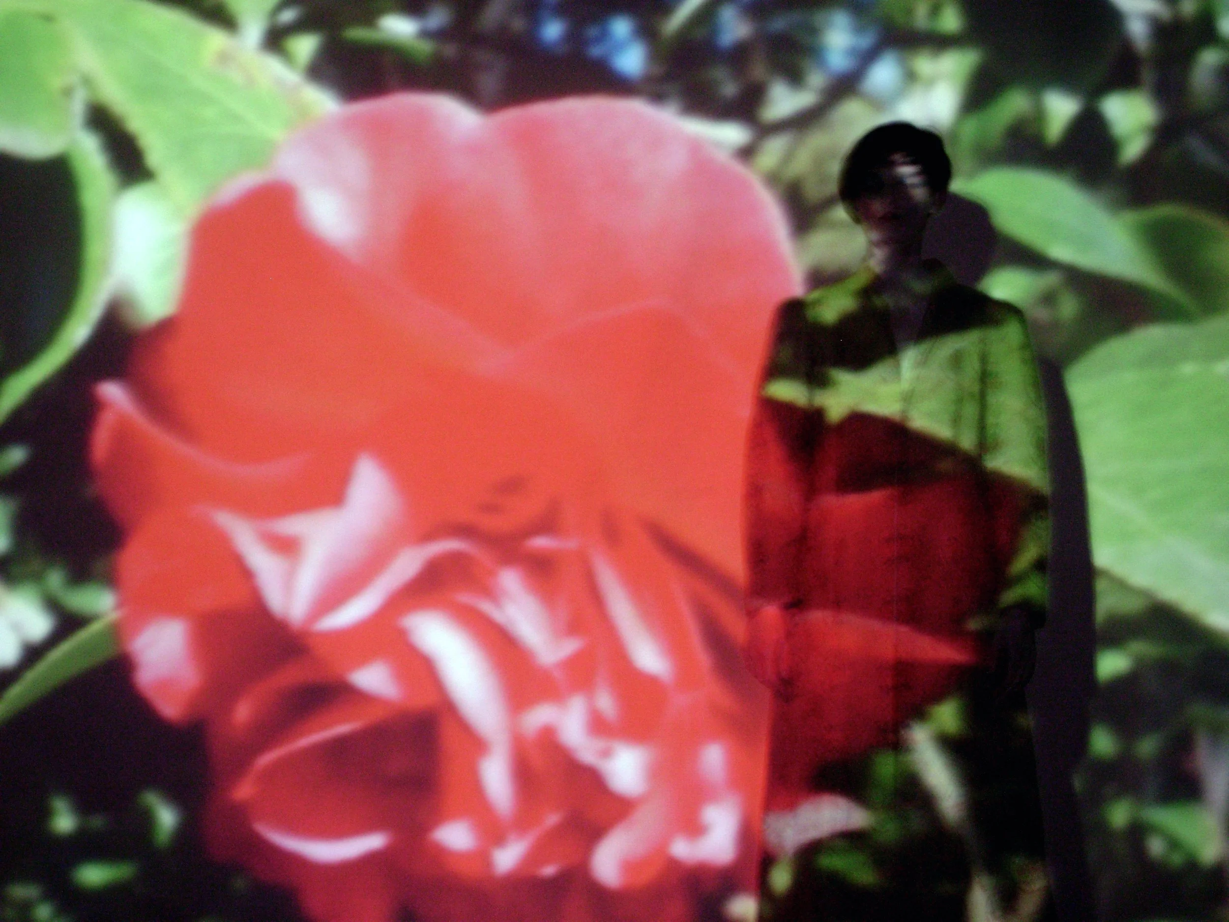 I Dream Angus.
performance & multi-media, writer & performer