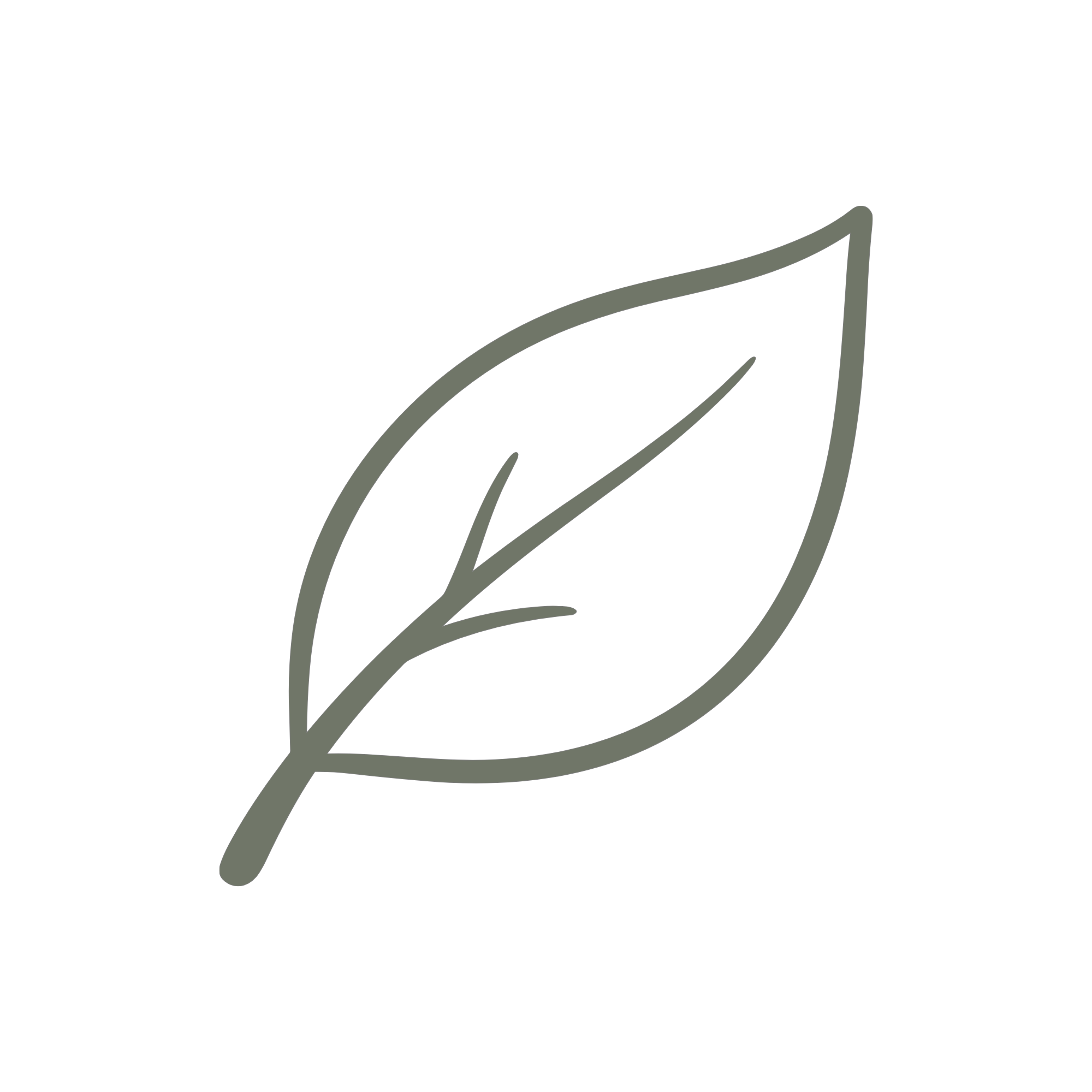 Line drawing of a single leaf with visible veins on a black background.