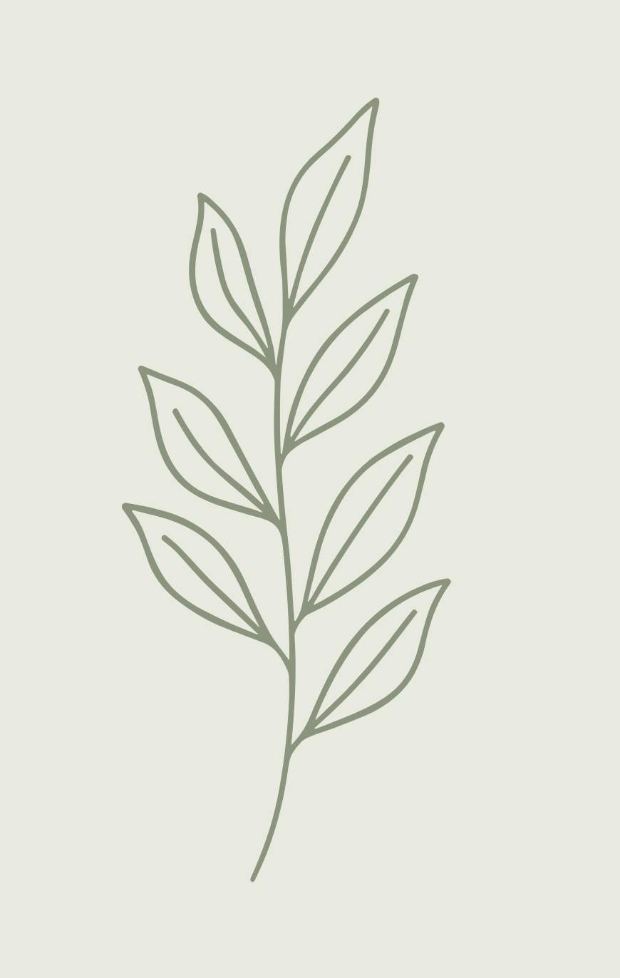 Minimalist line drawing of a leafy branch on a light background.