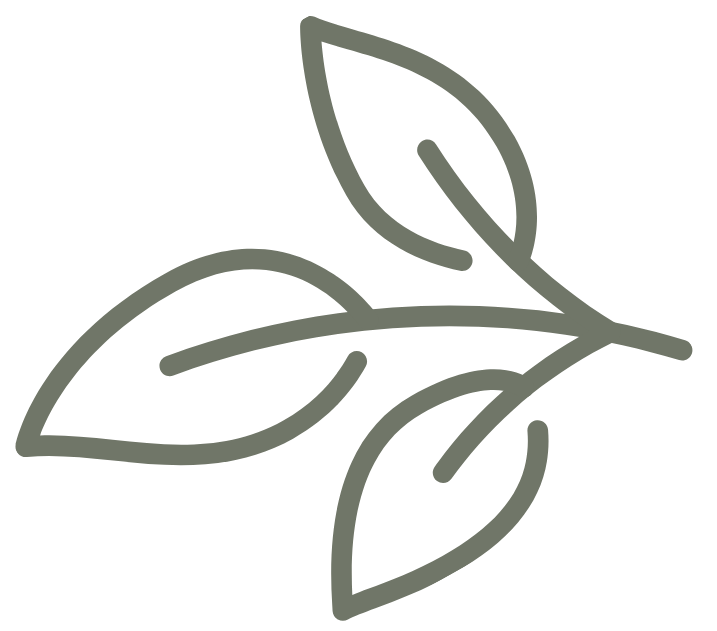 Outline drawing of three leaves on a branch.
