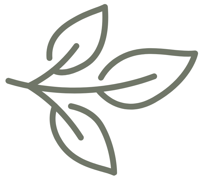 Line drawing of three leaves on a stem.