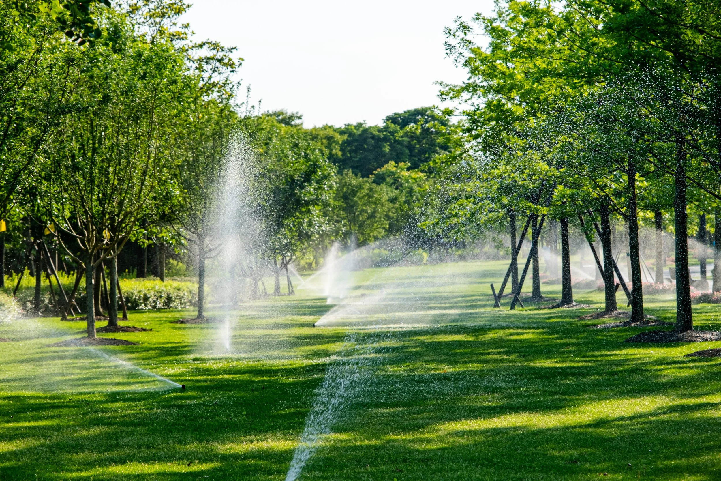 Sprinklers watering a lush green park with trees and grass on a sunny day.