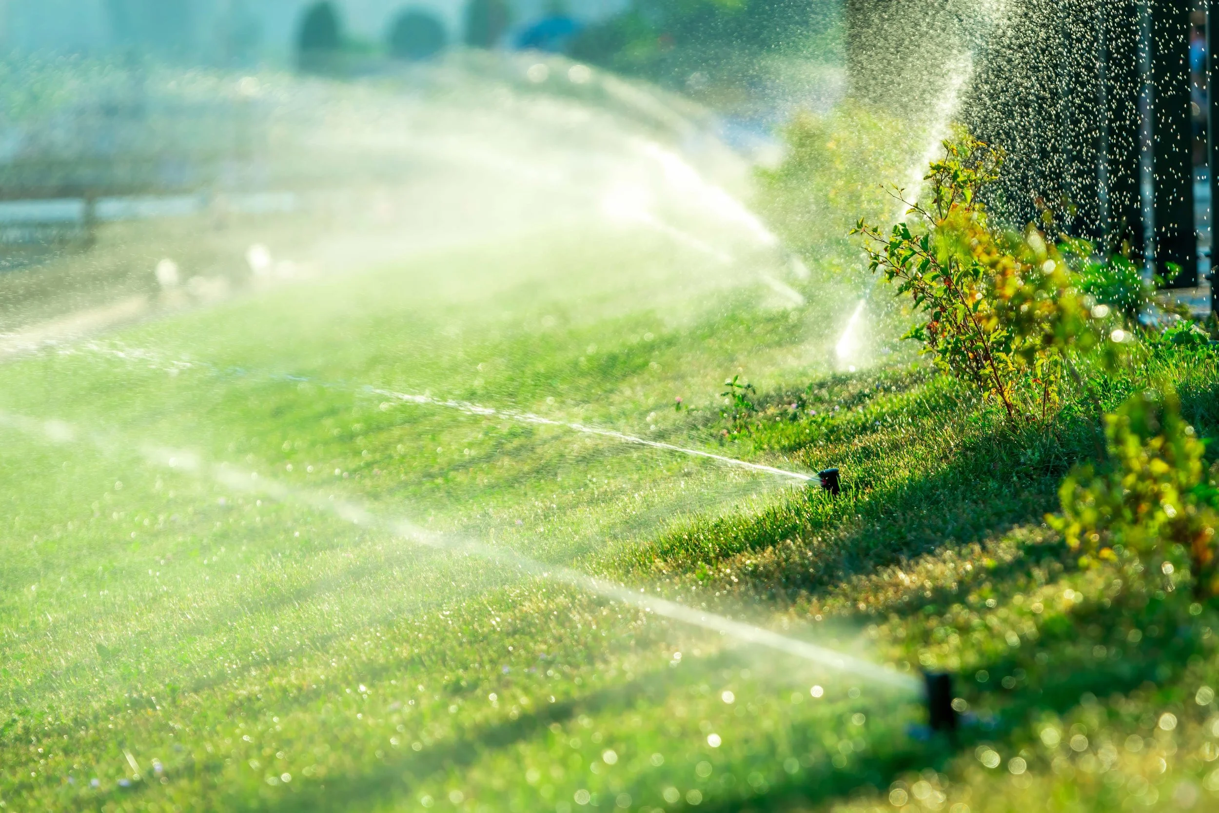 Sunlit garden with sprinklers watering green grass and plants, creating a mist in the air.