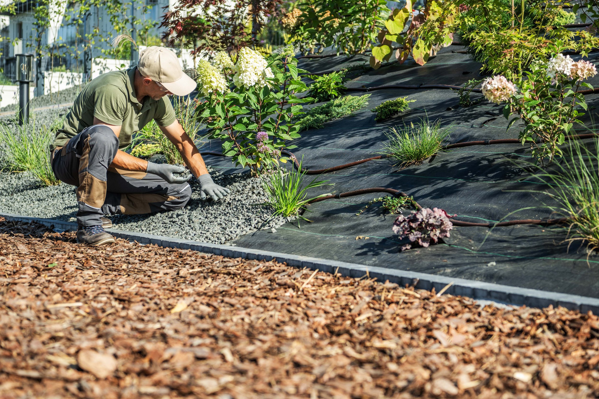 A person tending to plants in a garden, with greenery and flowers, on a sunny day.