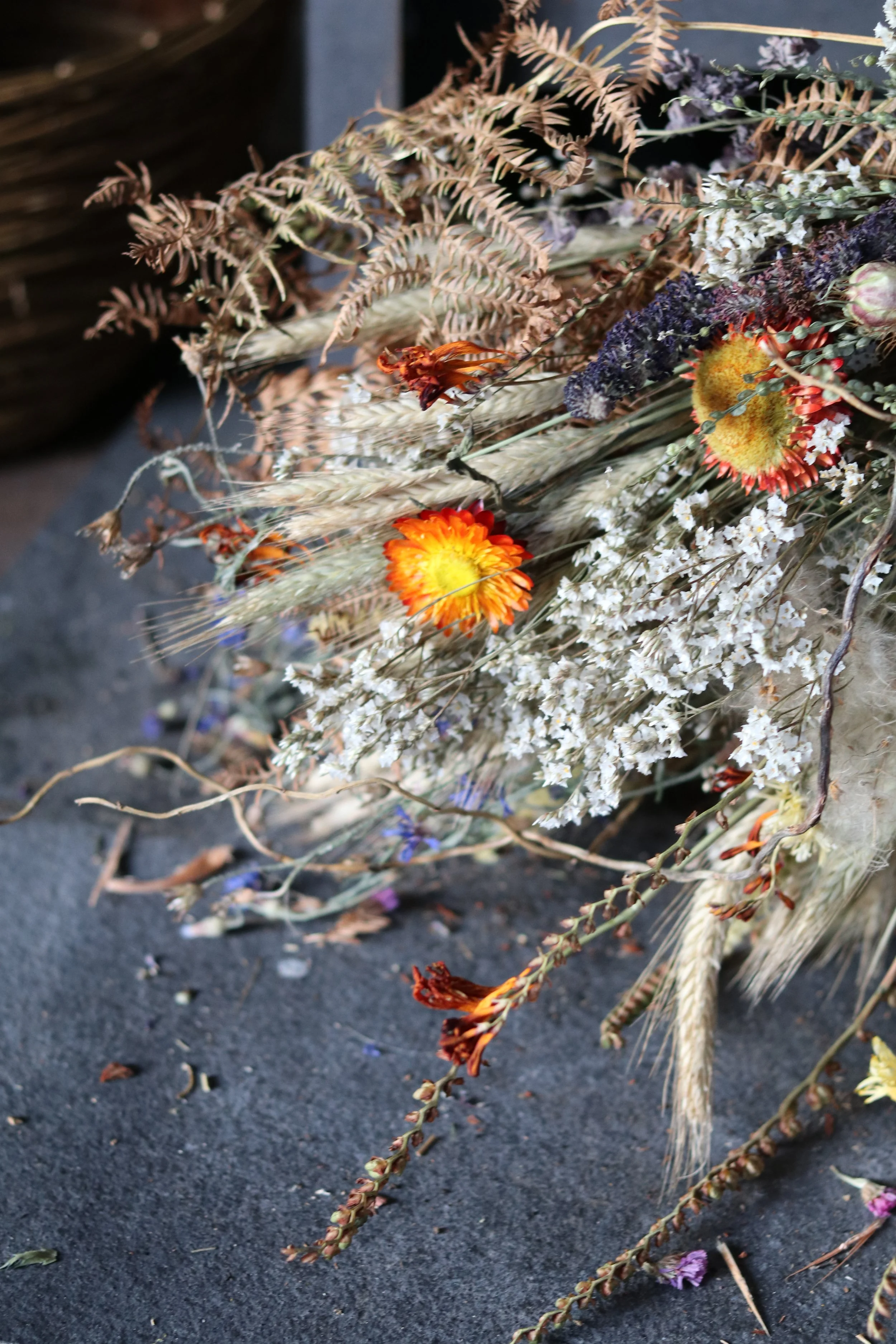 BloomBroom2.JPG