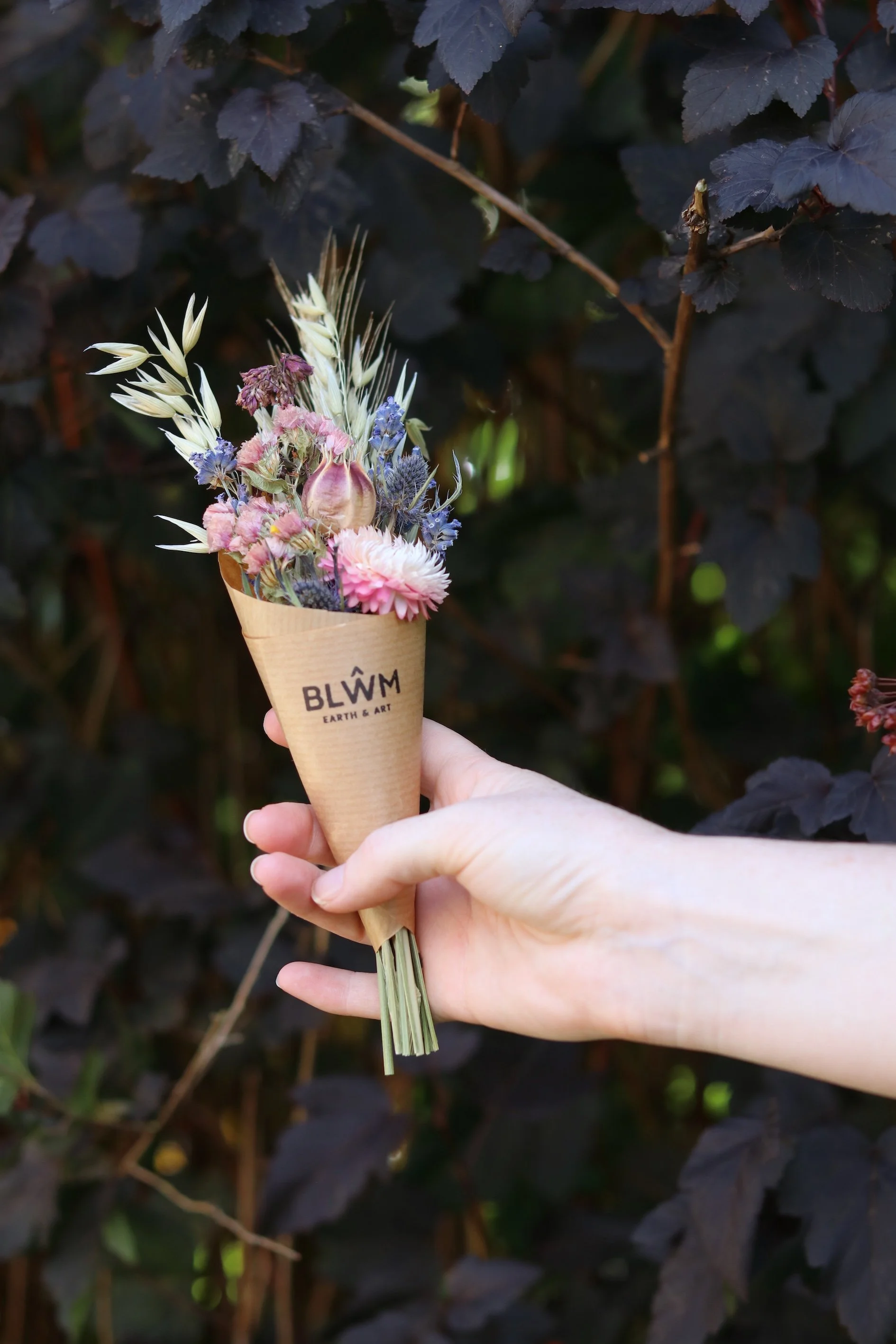 DriedFlowerPosySmall1.JPG