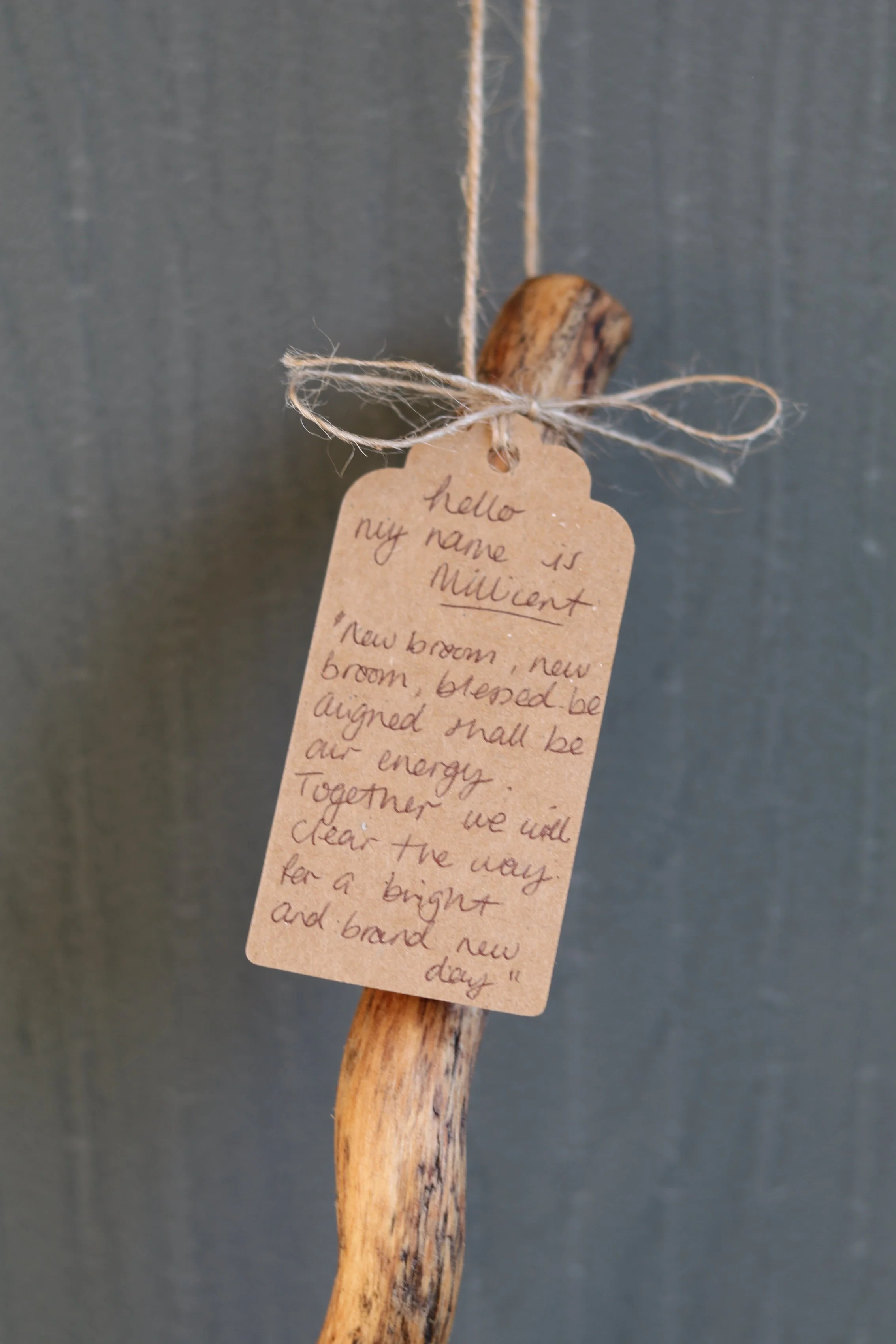 Mini broom 3.JPG