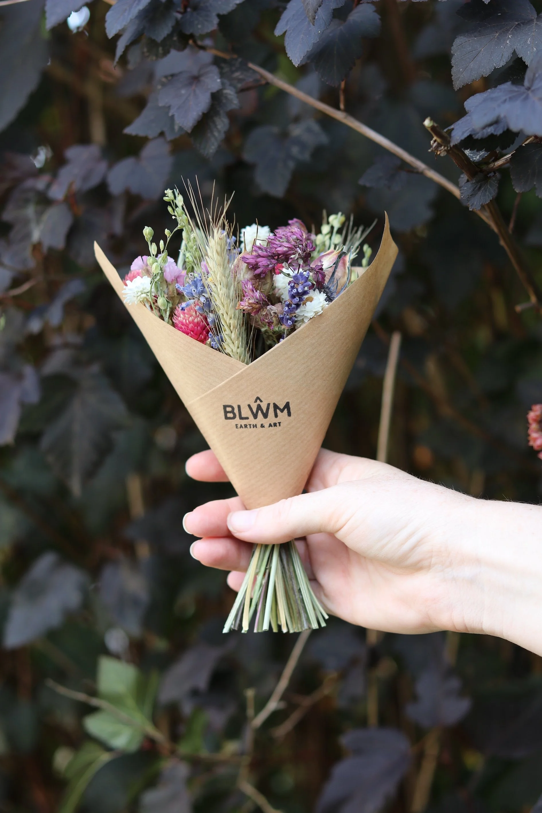 DriedFlowerPosyMedium1.JPG
