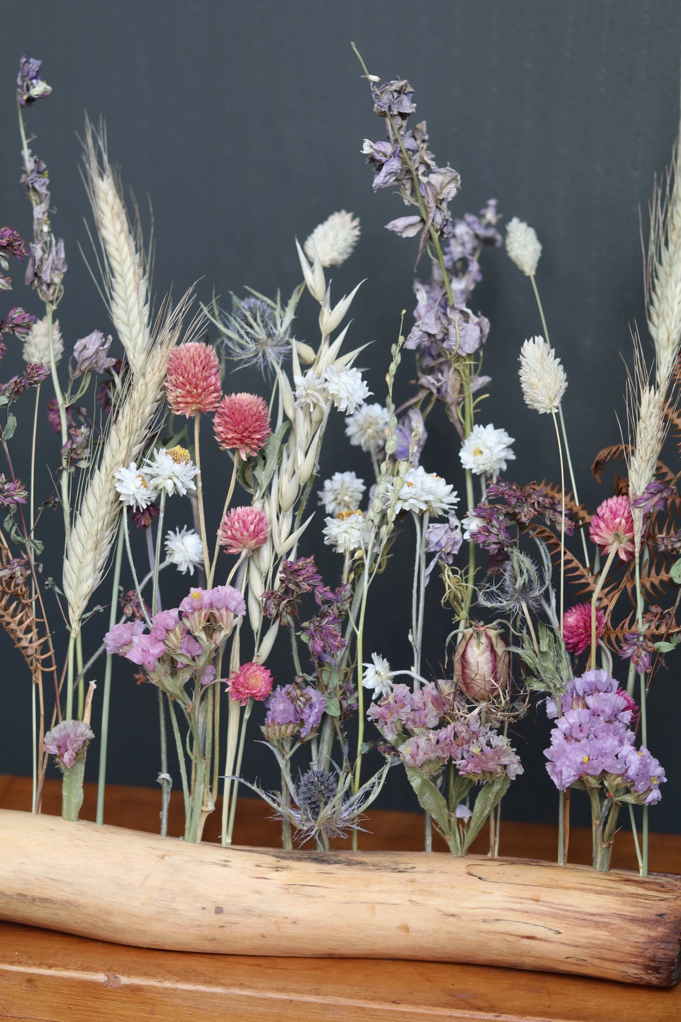 Meadow3.JPG