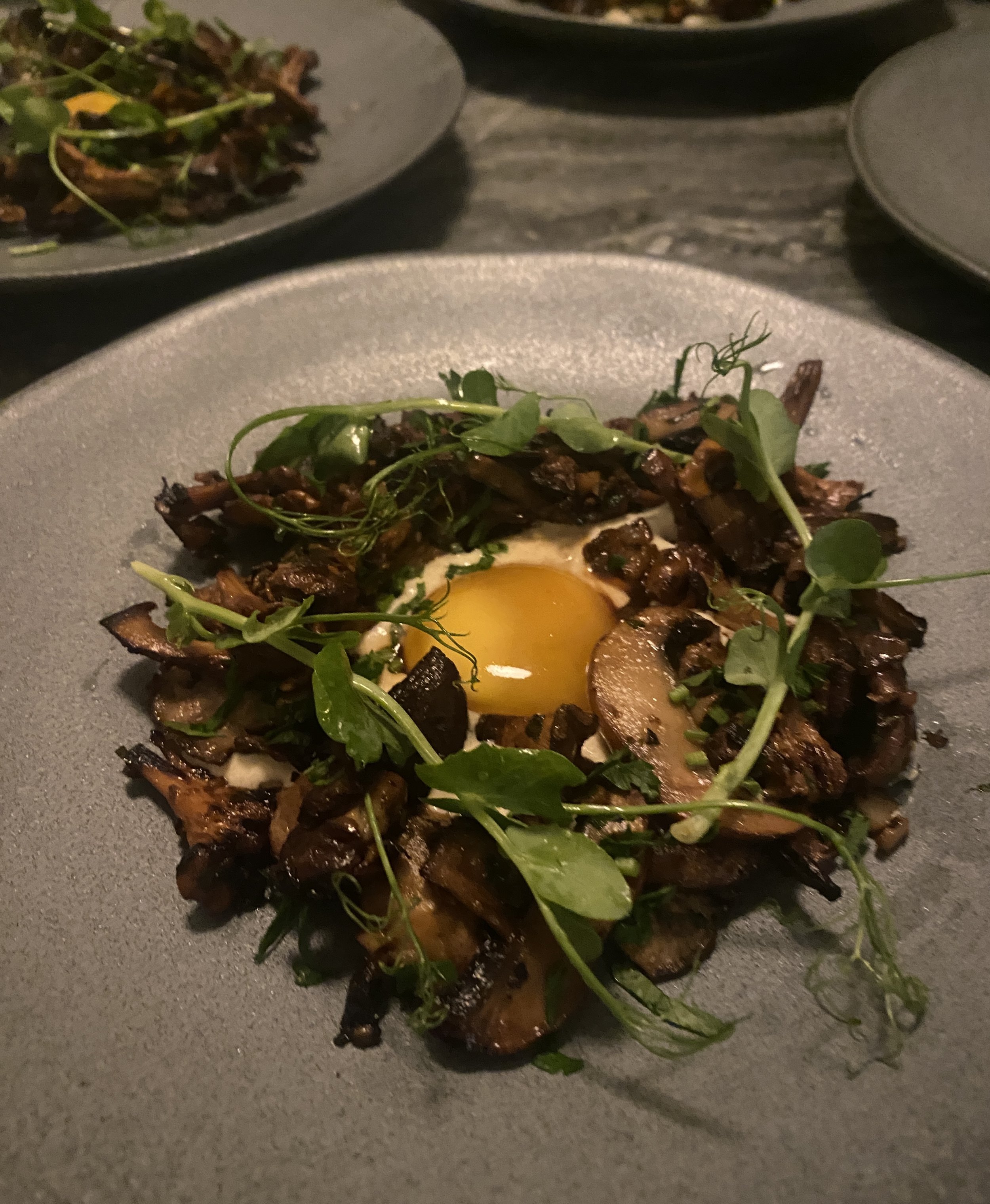 Close-up of a dish with cooked meat, greens, and a fried egg on top, served on a gray plate.