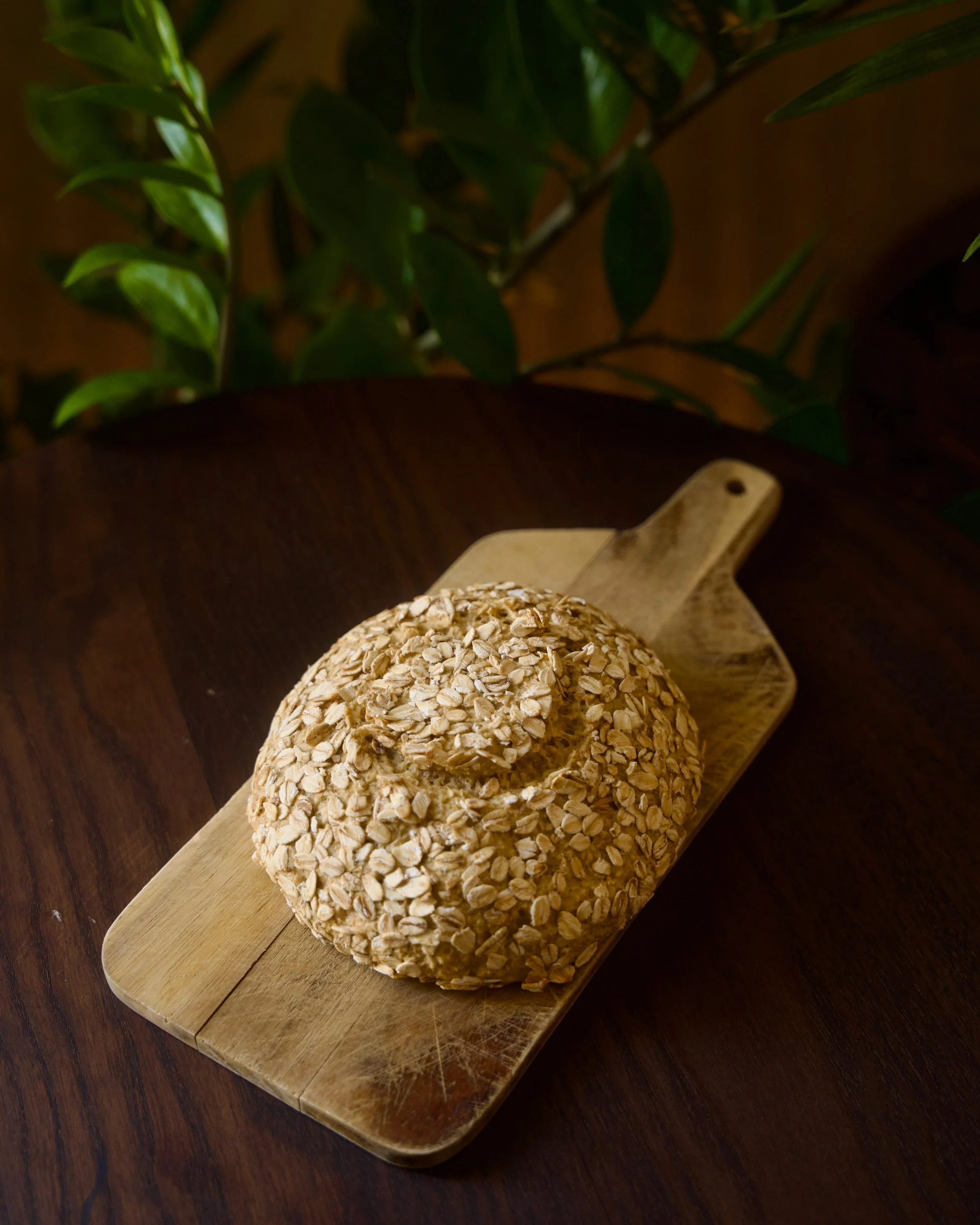 Oatmeal balls on a wooden spoon, placed on a wooden surface. Green leafy plant in the background.