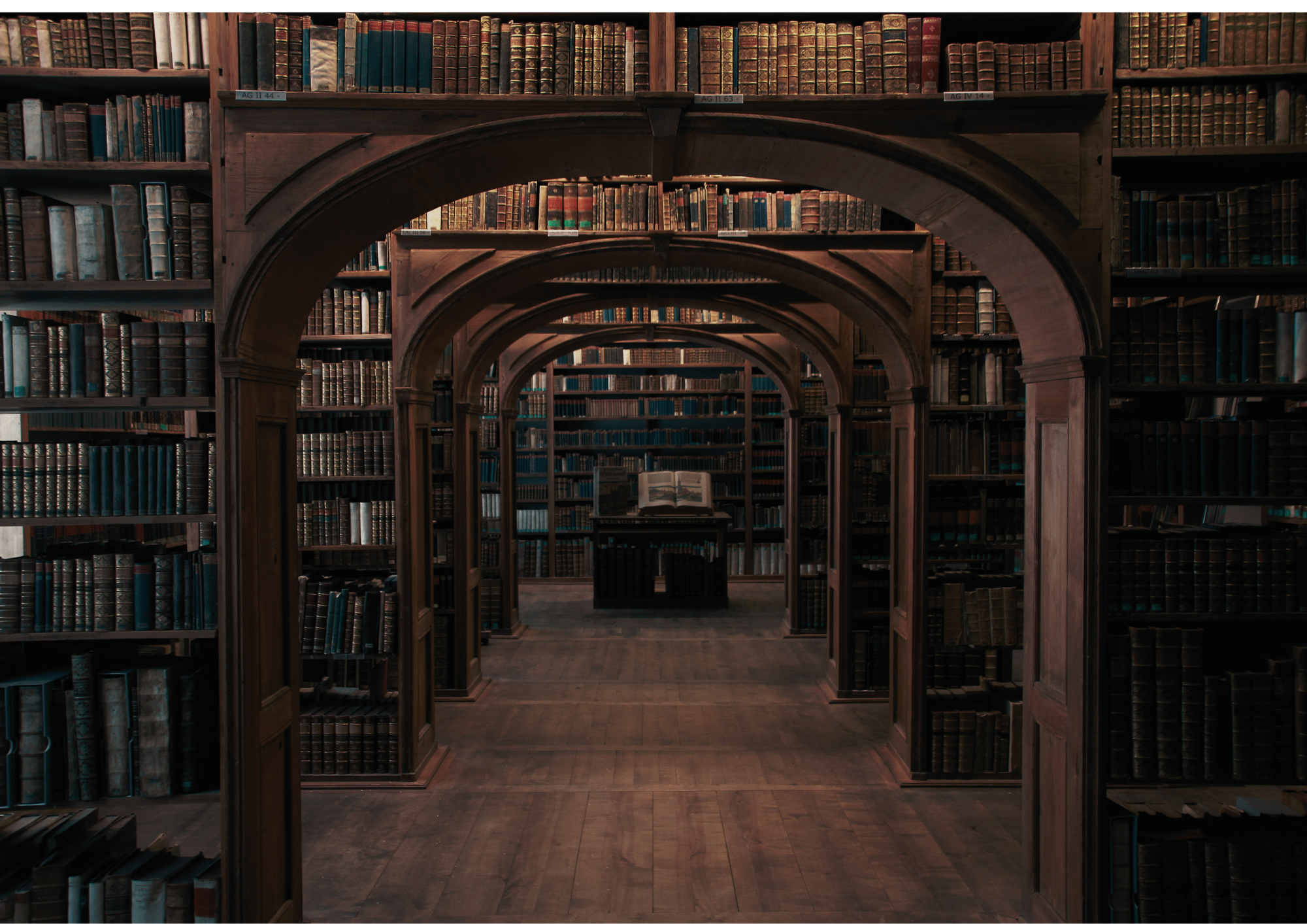 A library with multiple shelves filled with old books, and wooden archways creating passageways through the bookshelves.