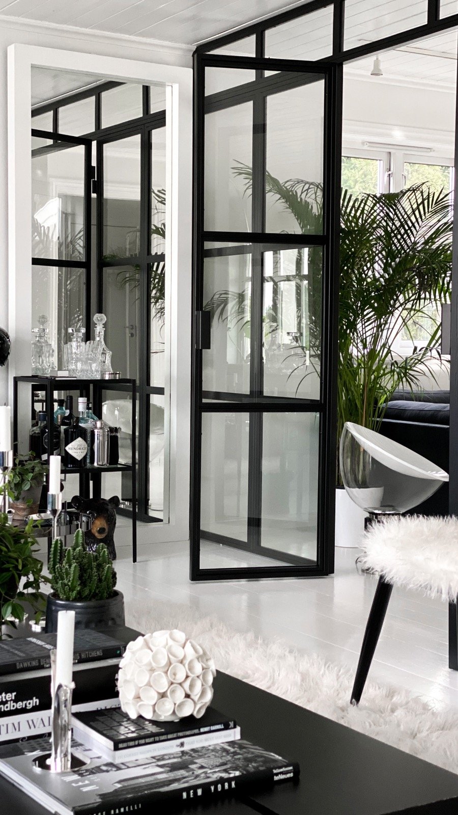 Black Georgian Style Steel Glazed Door