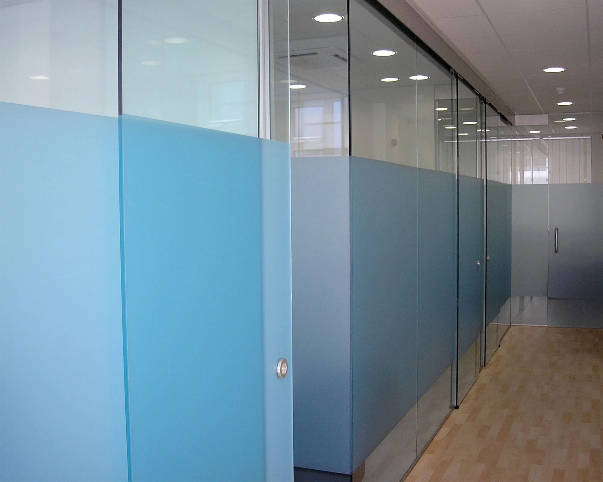 Frameless Glass Doors