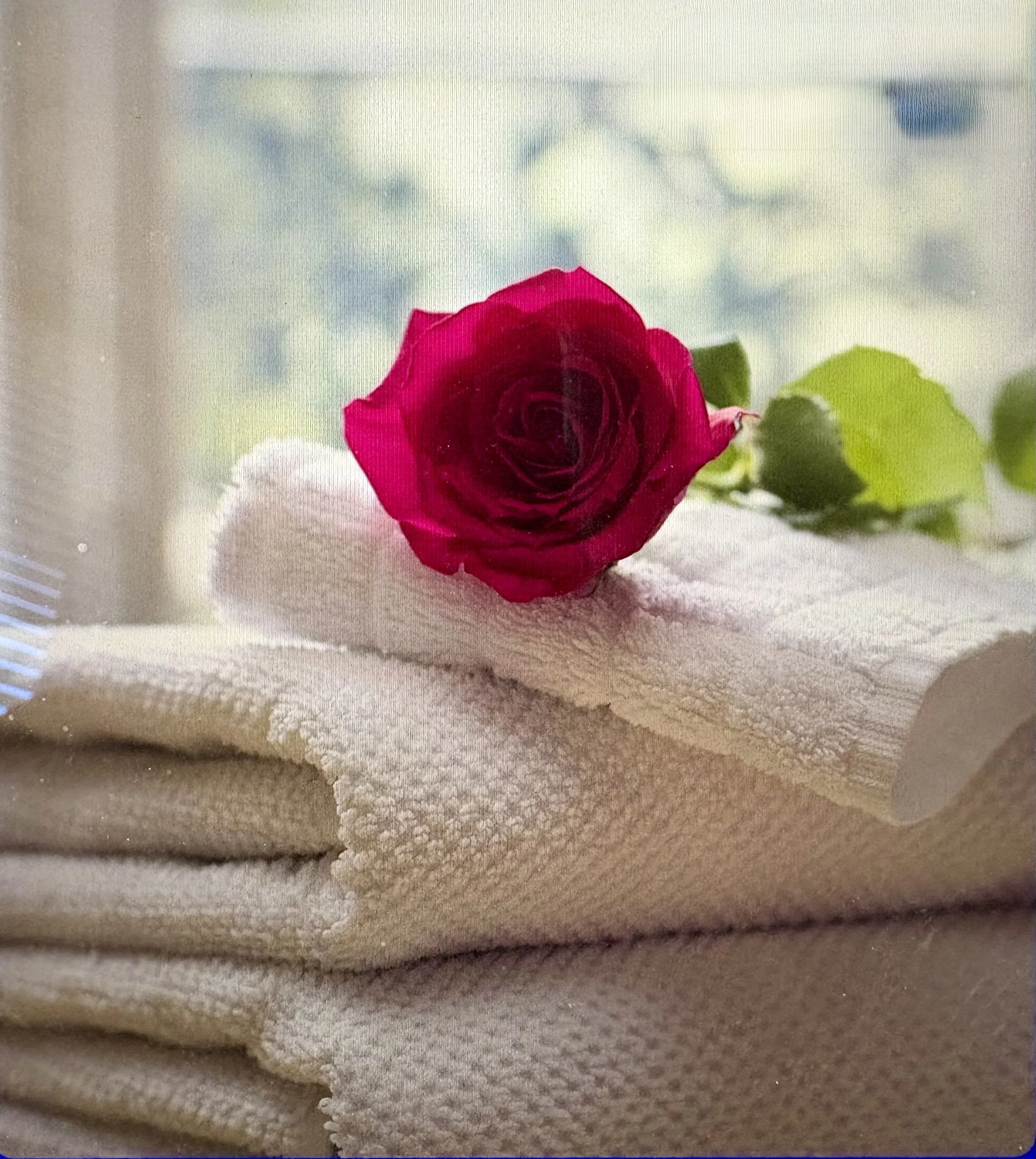 Close-up of a red rose on a beige surface with a cloudy sky visible through a window in the background.