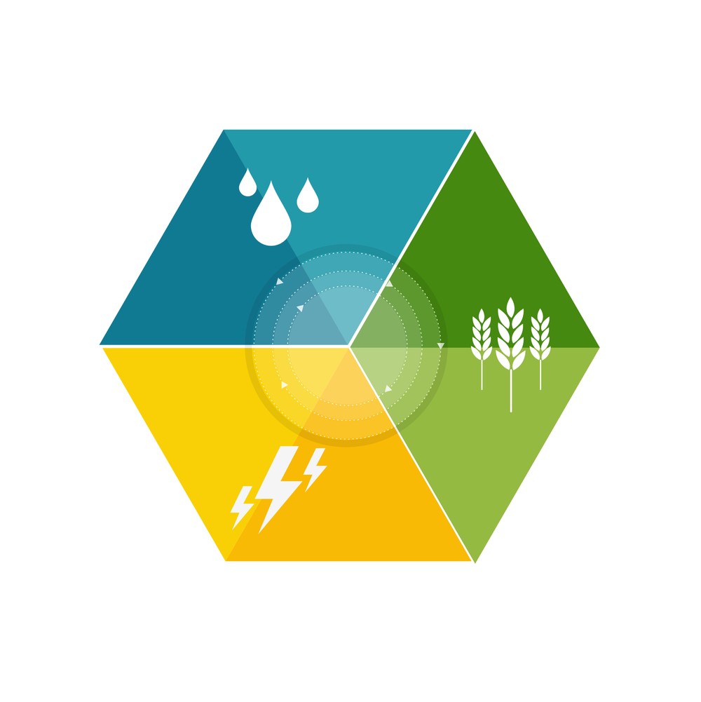 The Water, Food, Energy Nexus