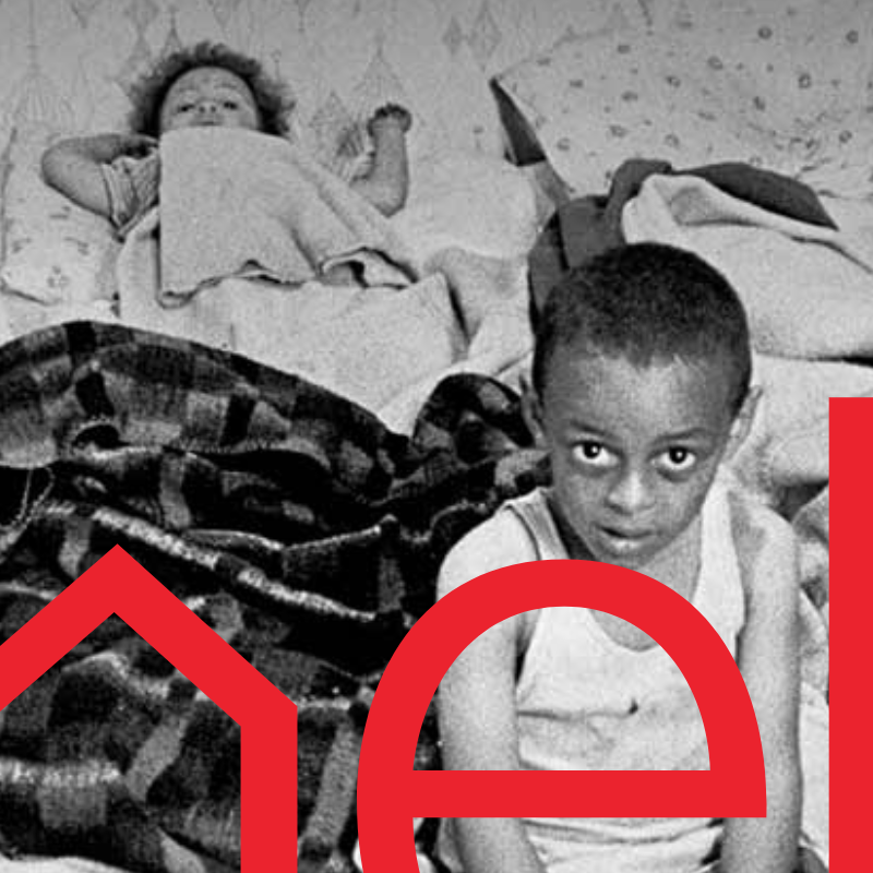 50 years of Shelter