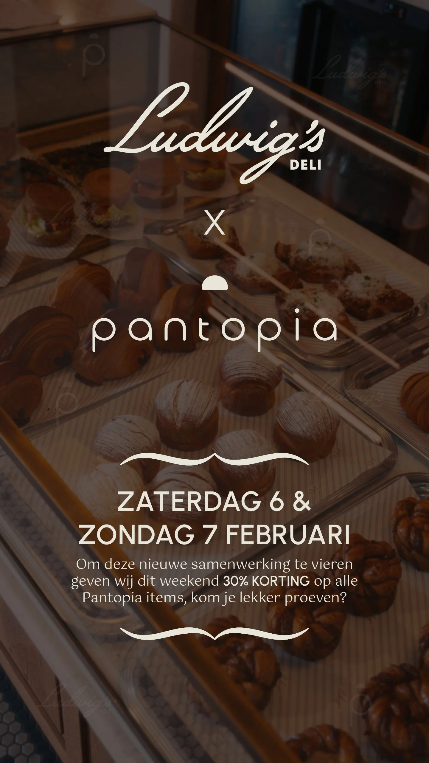 ludwigs-x-pantopia-flyer-story.jpg