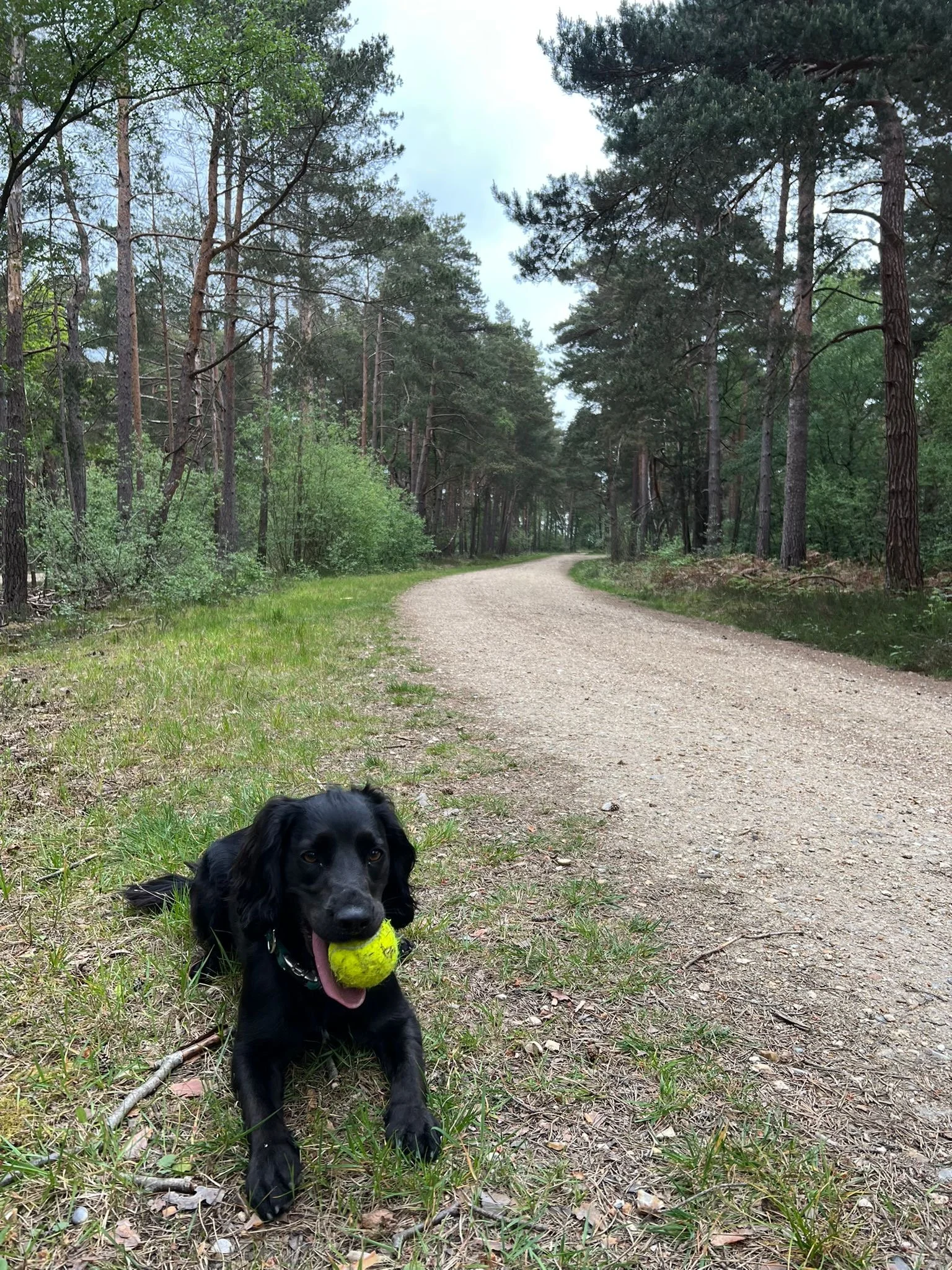 Solo walk's
