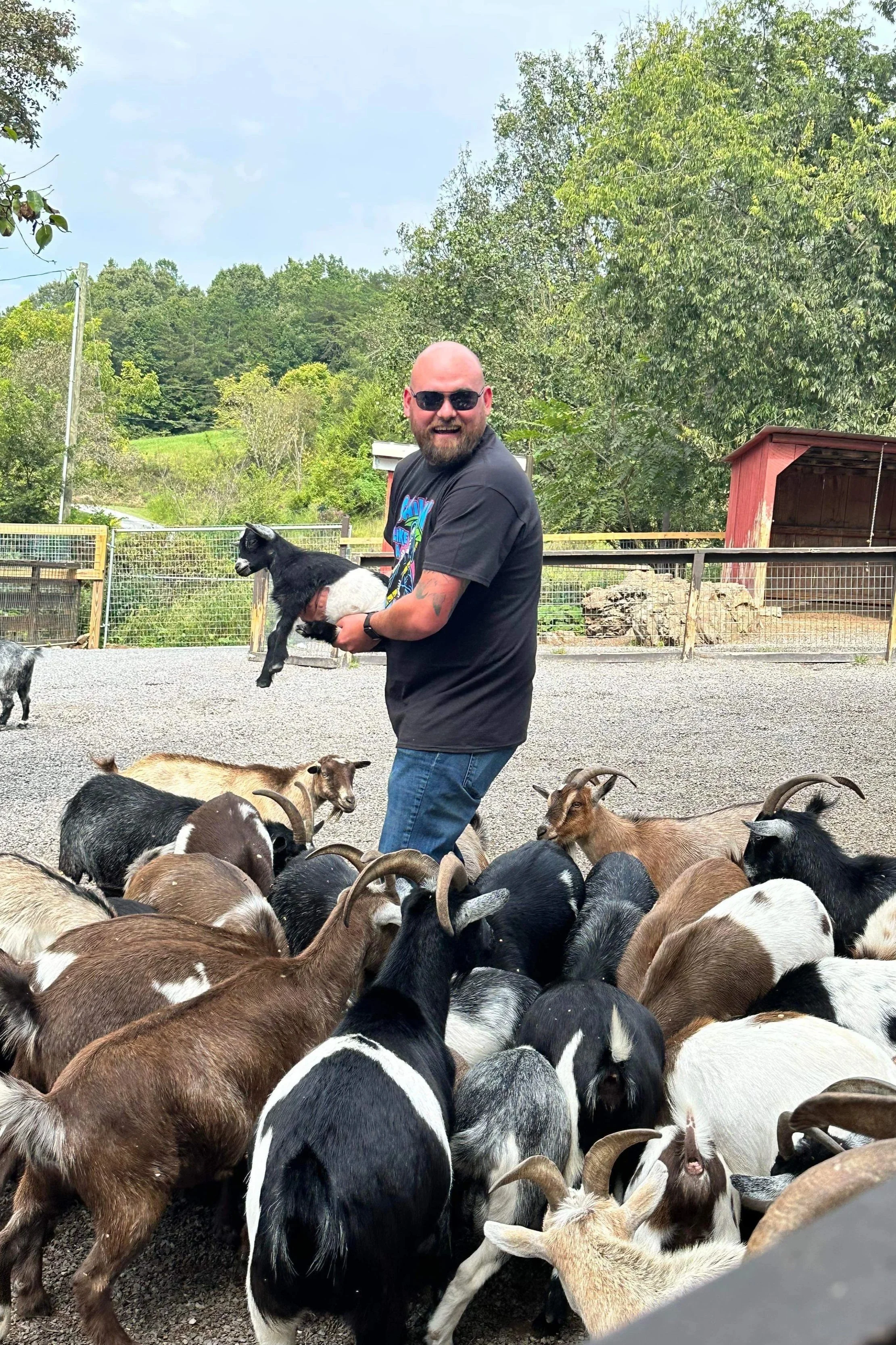 A man with sunglasses holding a small goat among a group of goats at a farm or petting zoo, with green trees and a red barn in the background.