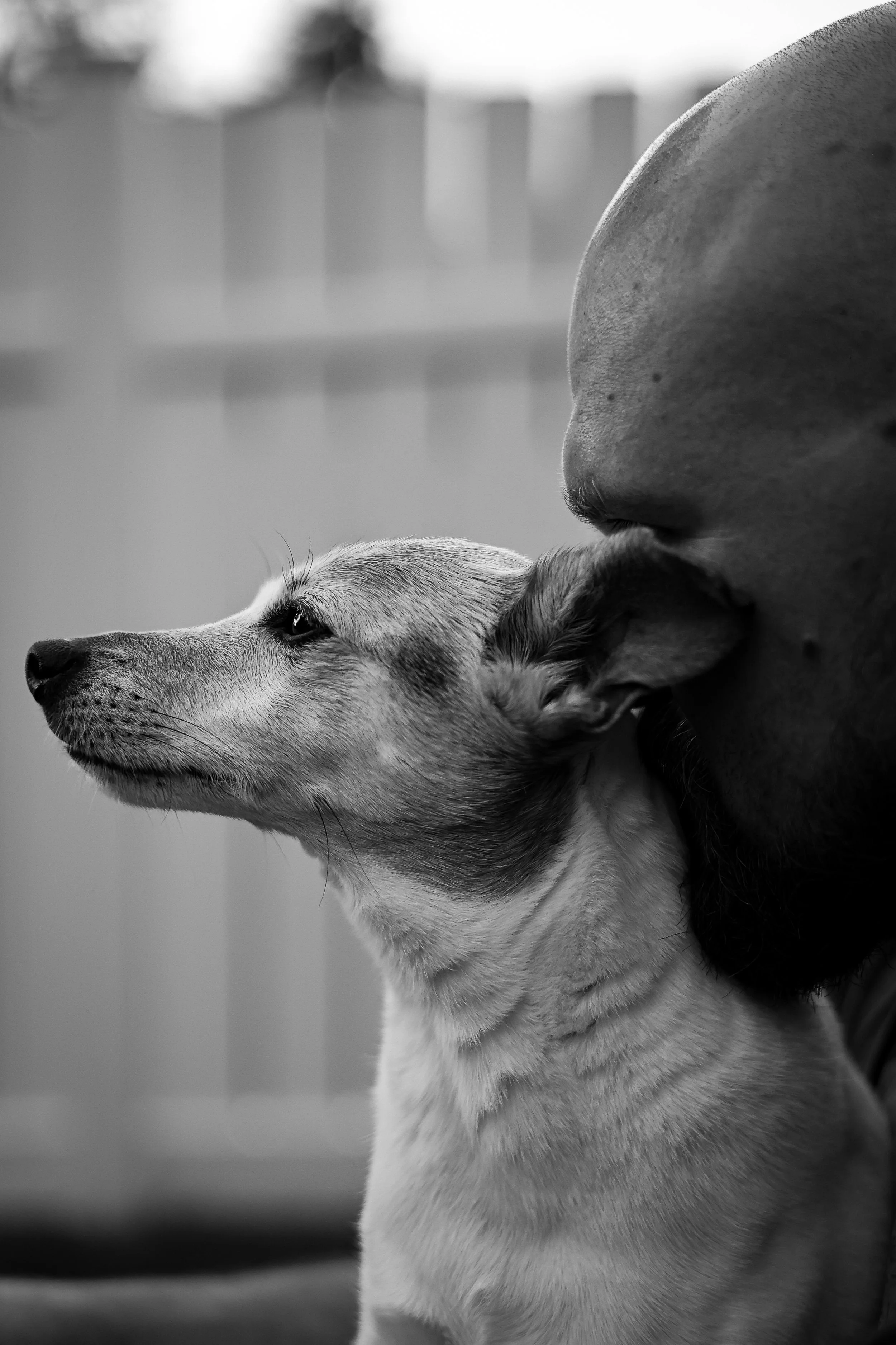 A close-up black and white photo of a dog with its head gently resting on a person's shoulder.