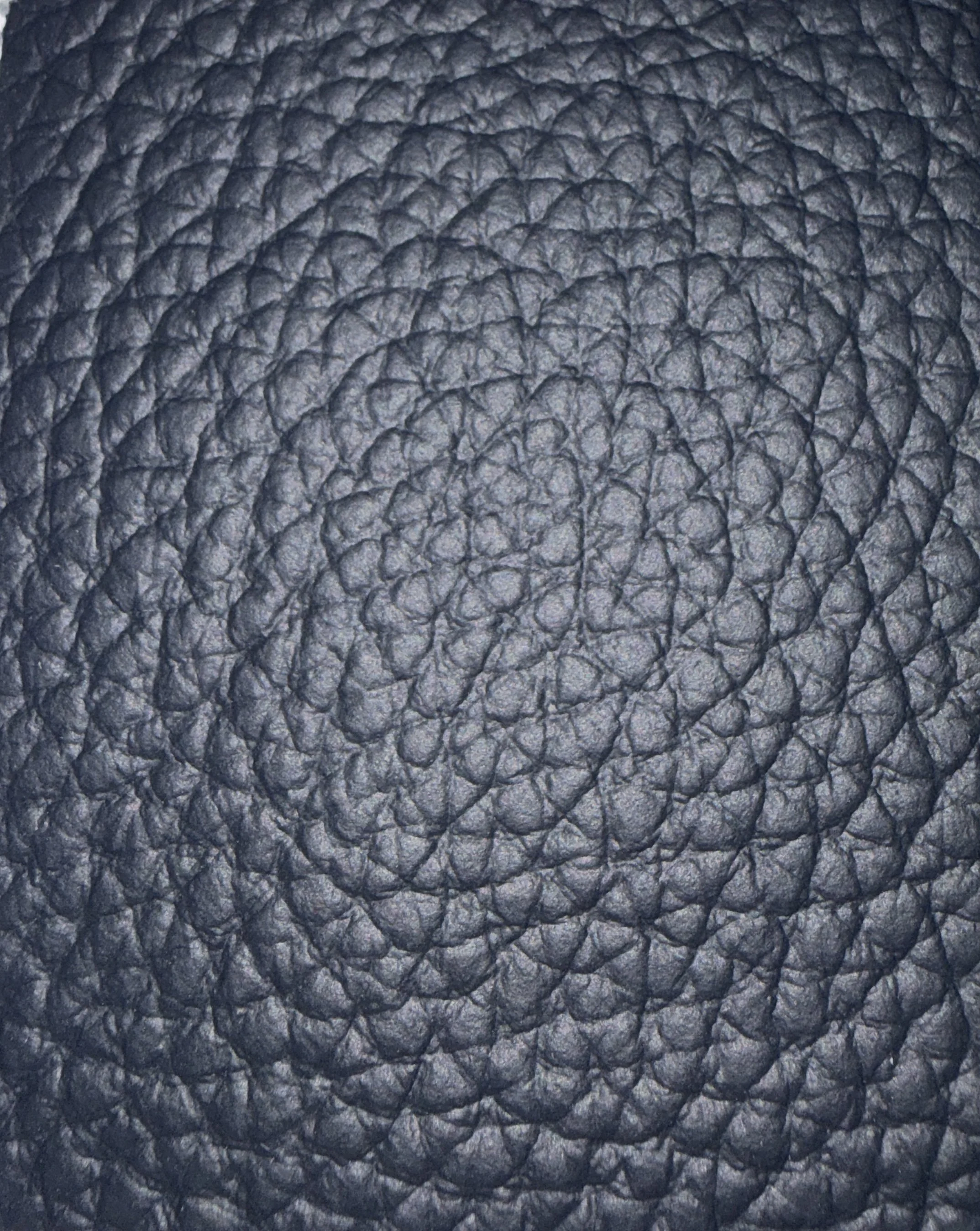 Dollaro Leather