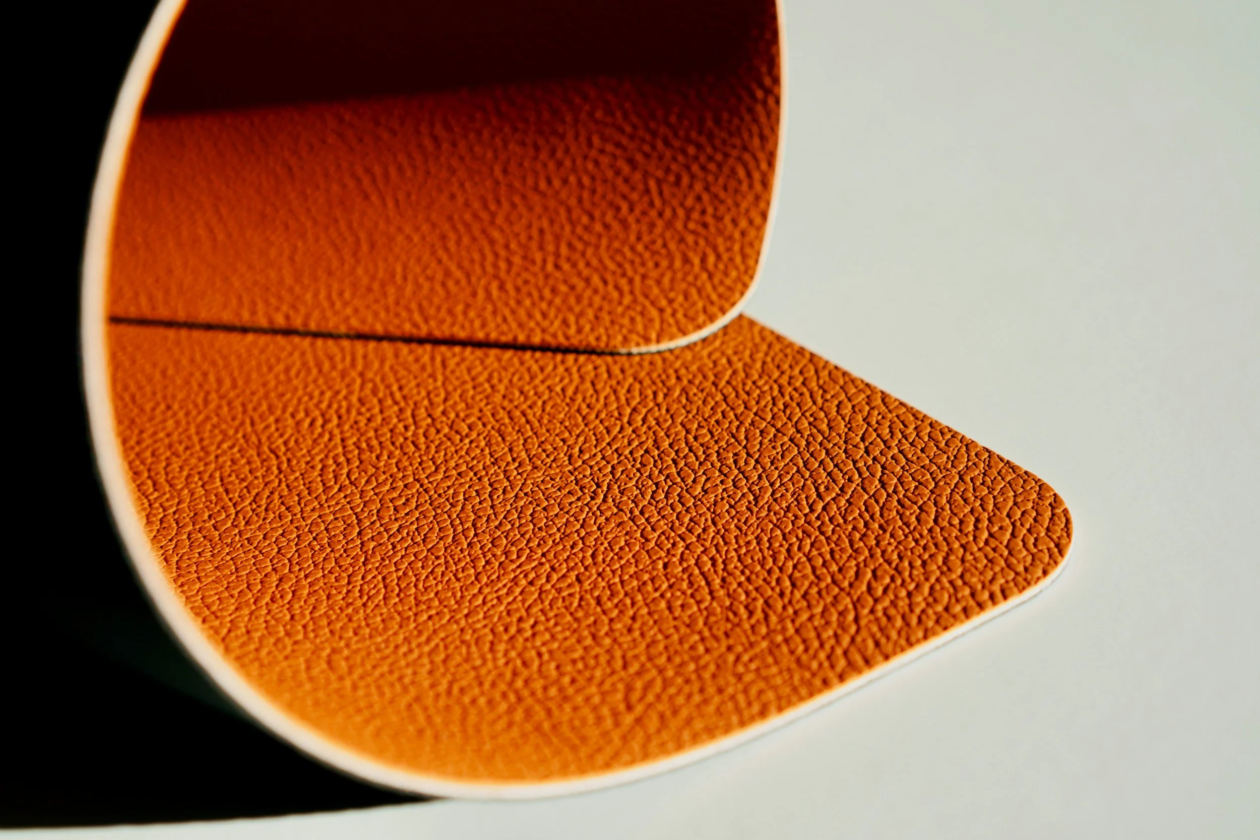 Close-up of an orange textured surface inside a white container with black and light green background.