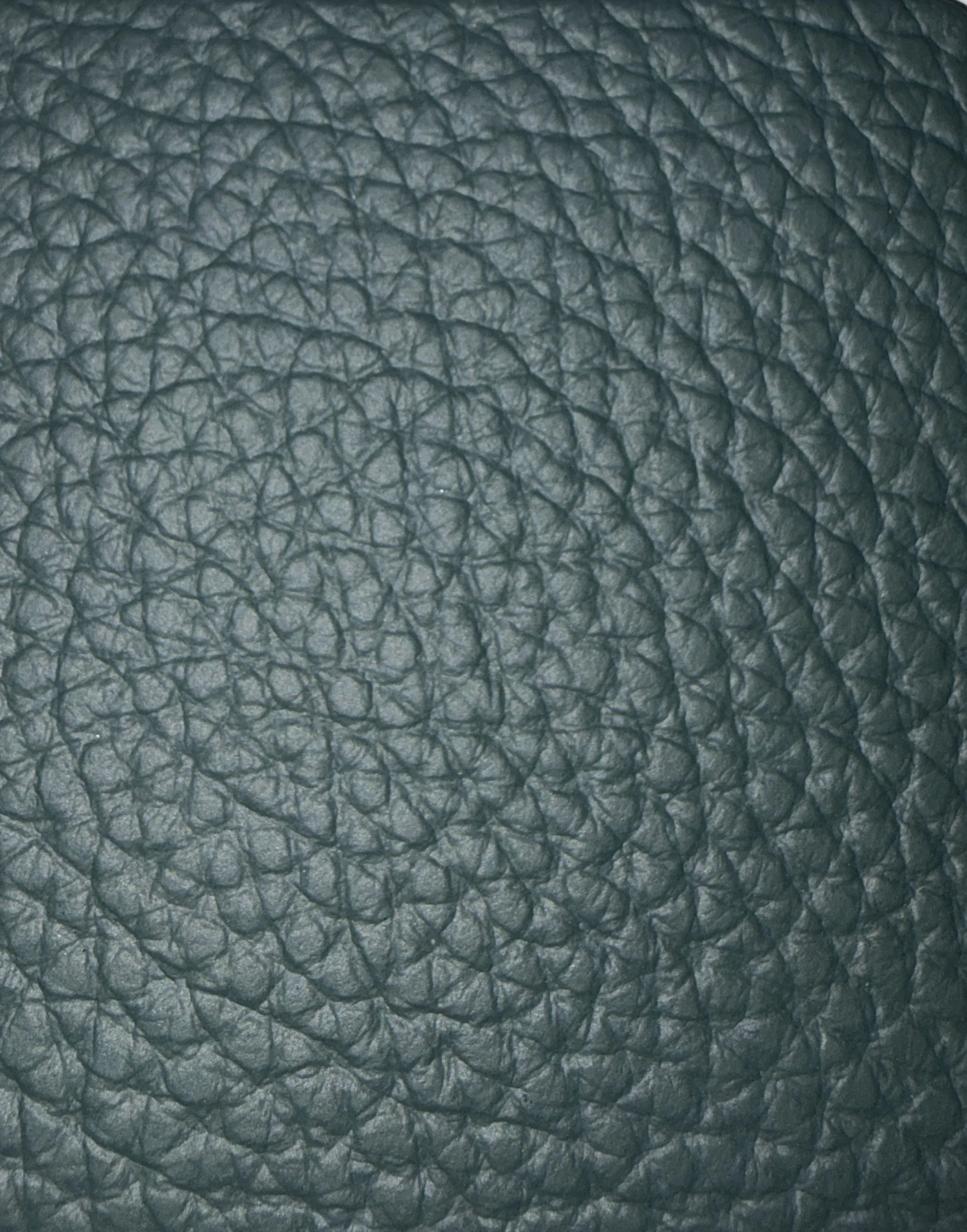Dollaro Leather