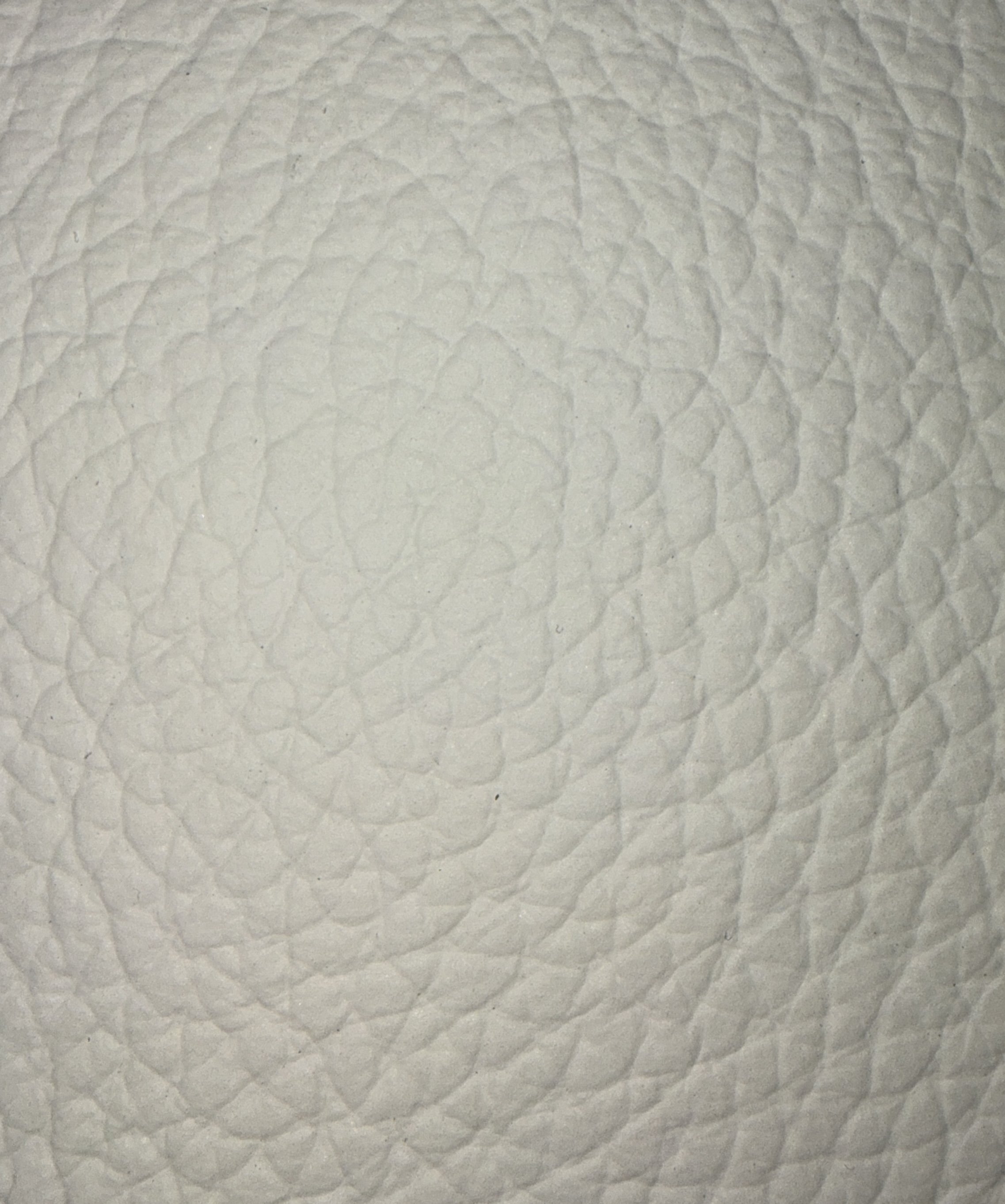 Dollaro Leather