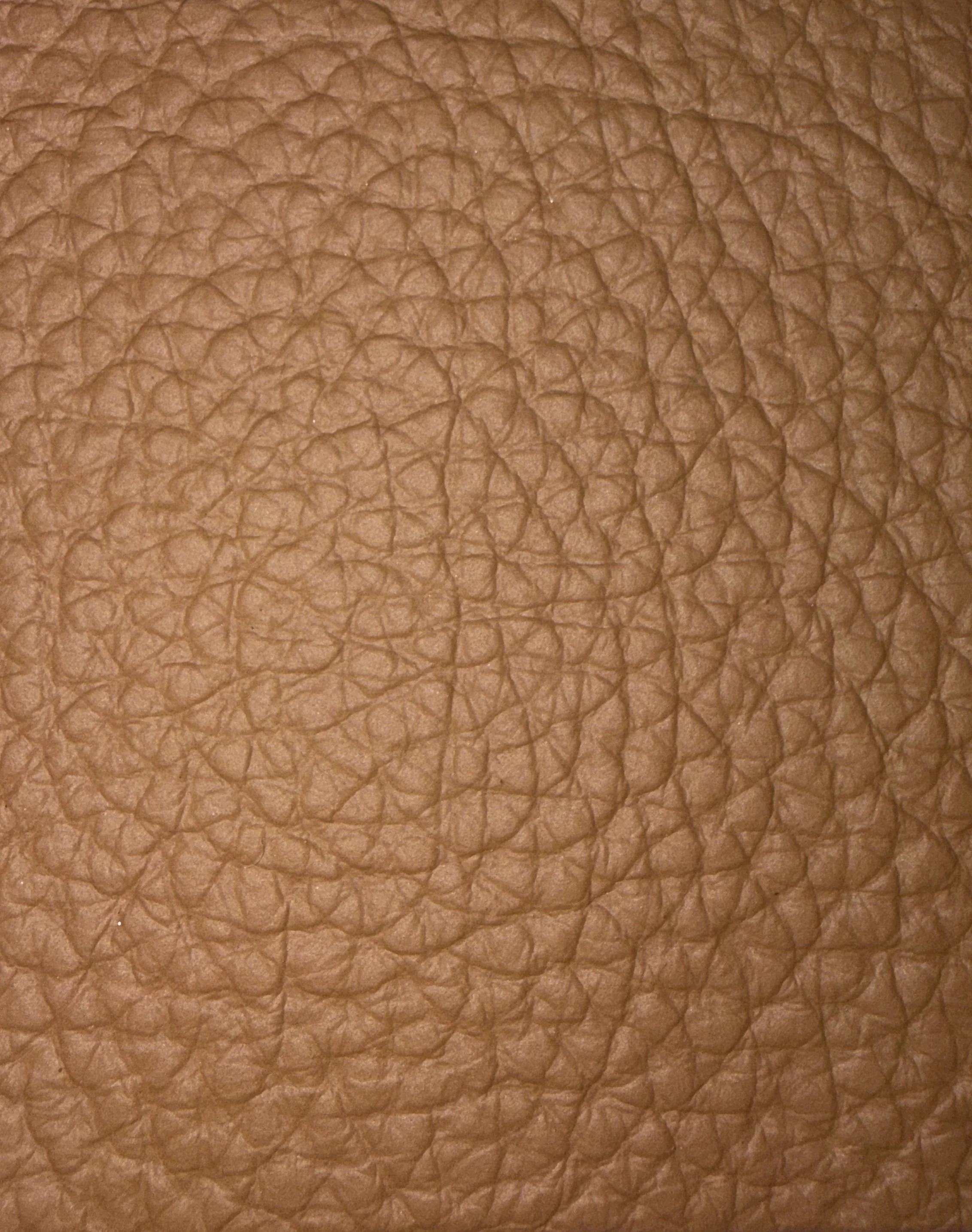 Dollaro Leather