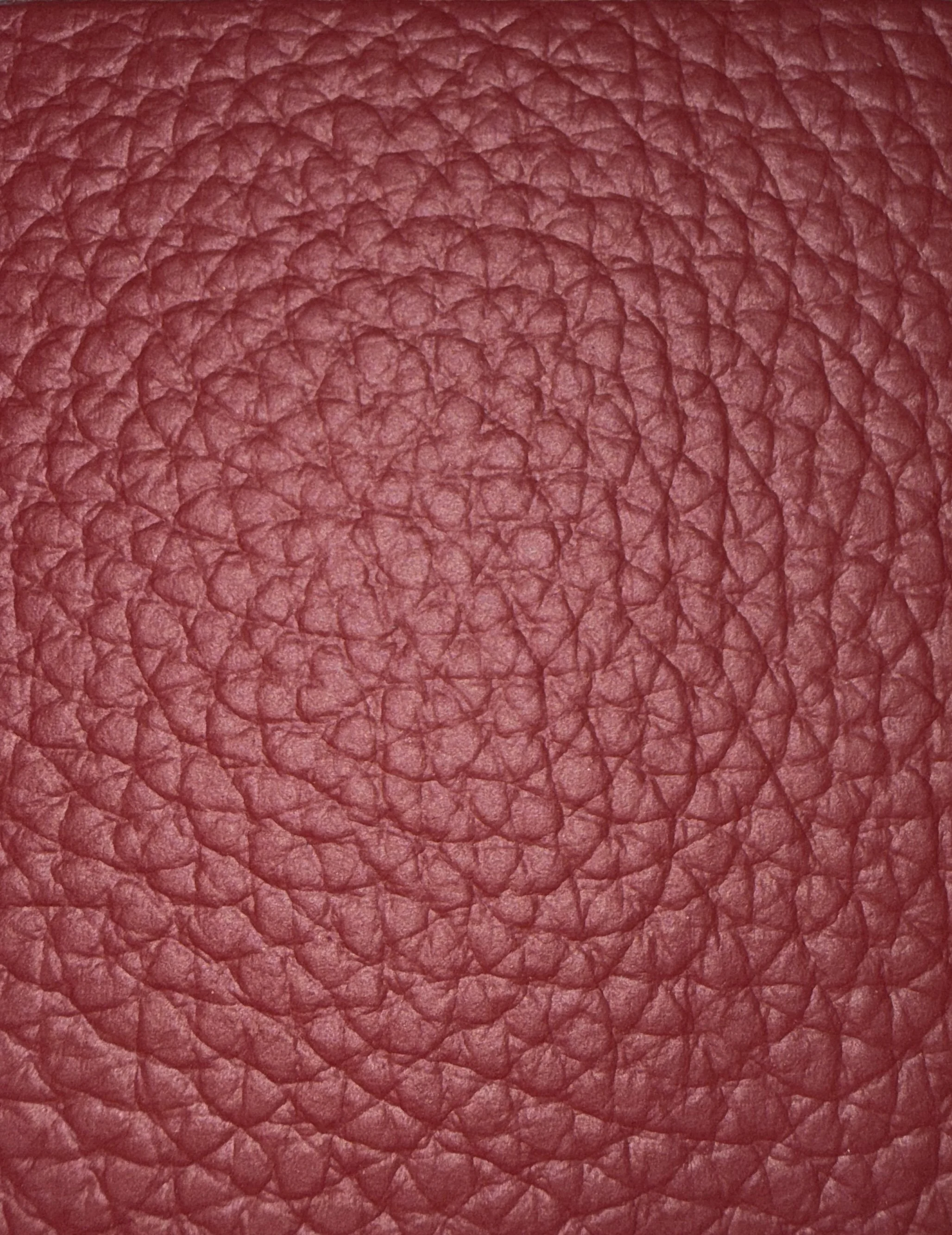 Dollaro Leather