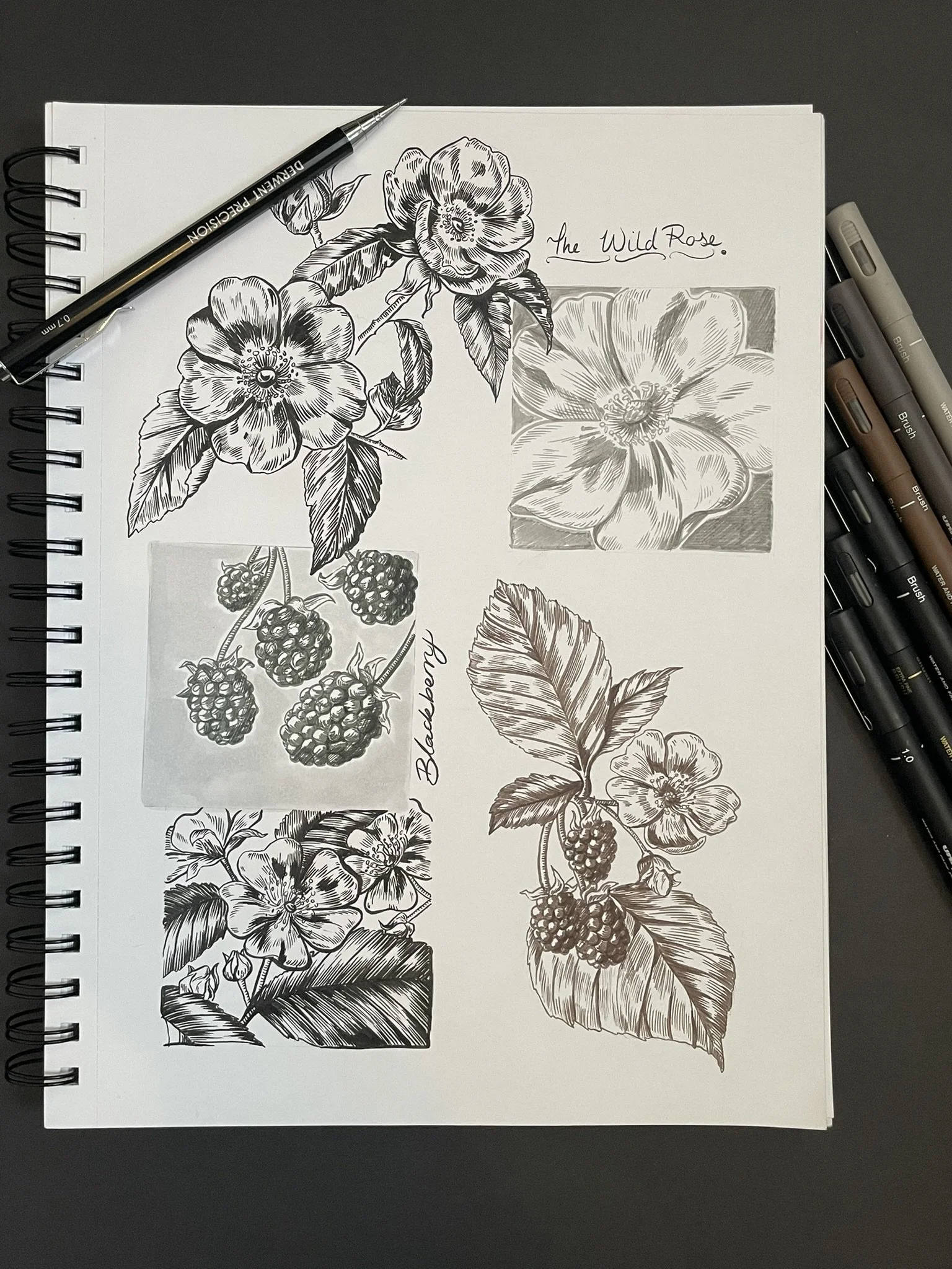 Pen and ink sketches