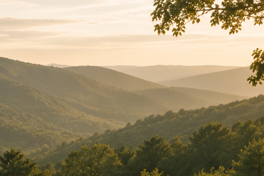Scenic view of rolling green mountains at sunset with trees in the foreground.