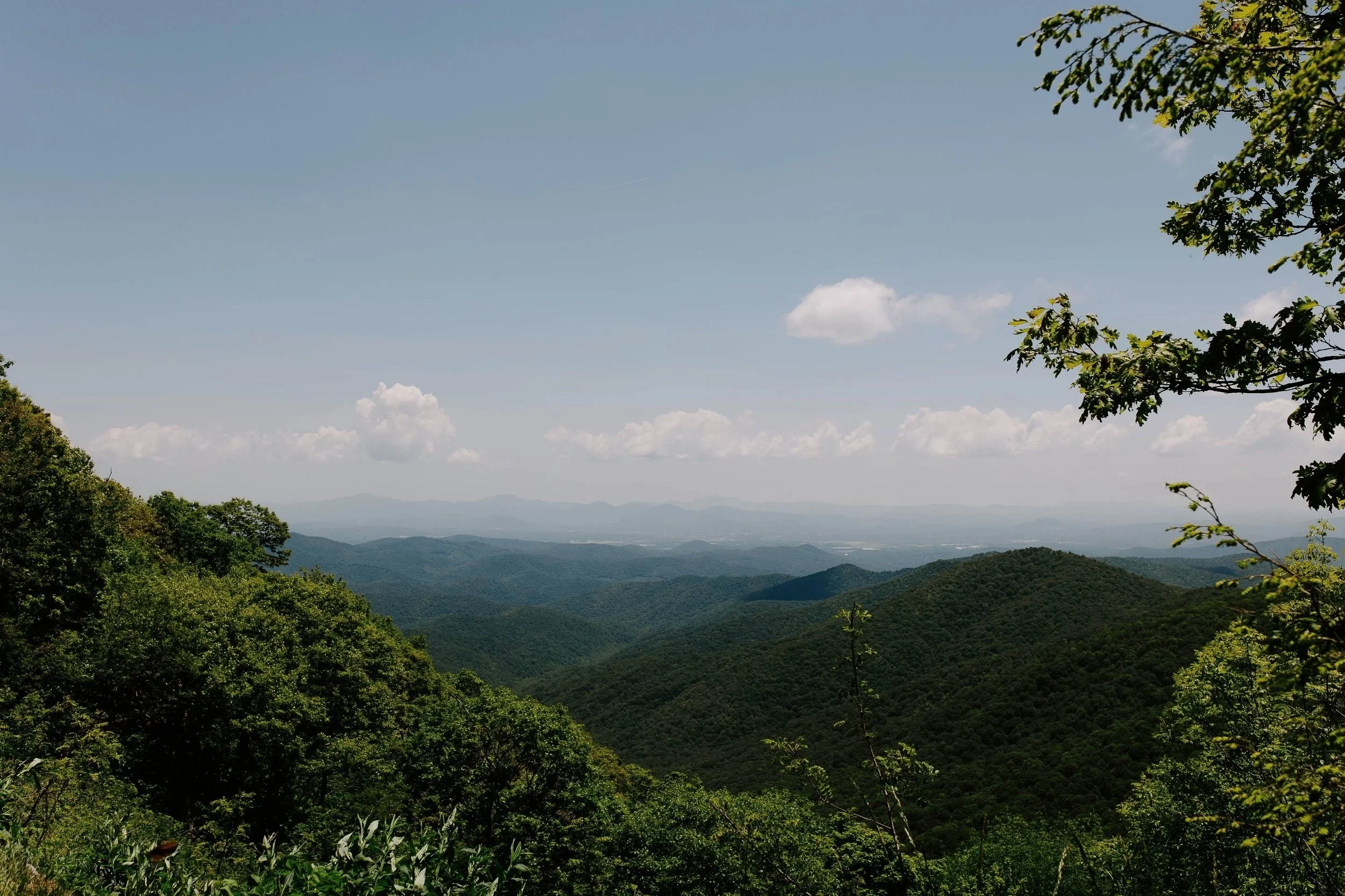 Forested Blue Ridge Mountains in Virginia beneath a blue sky