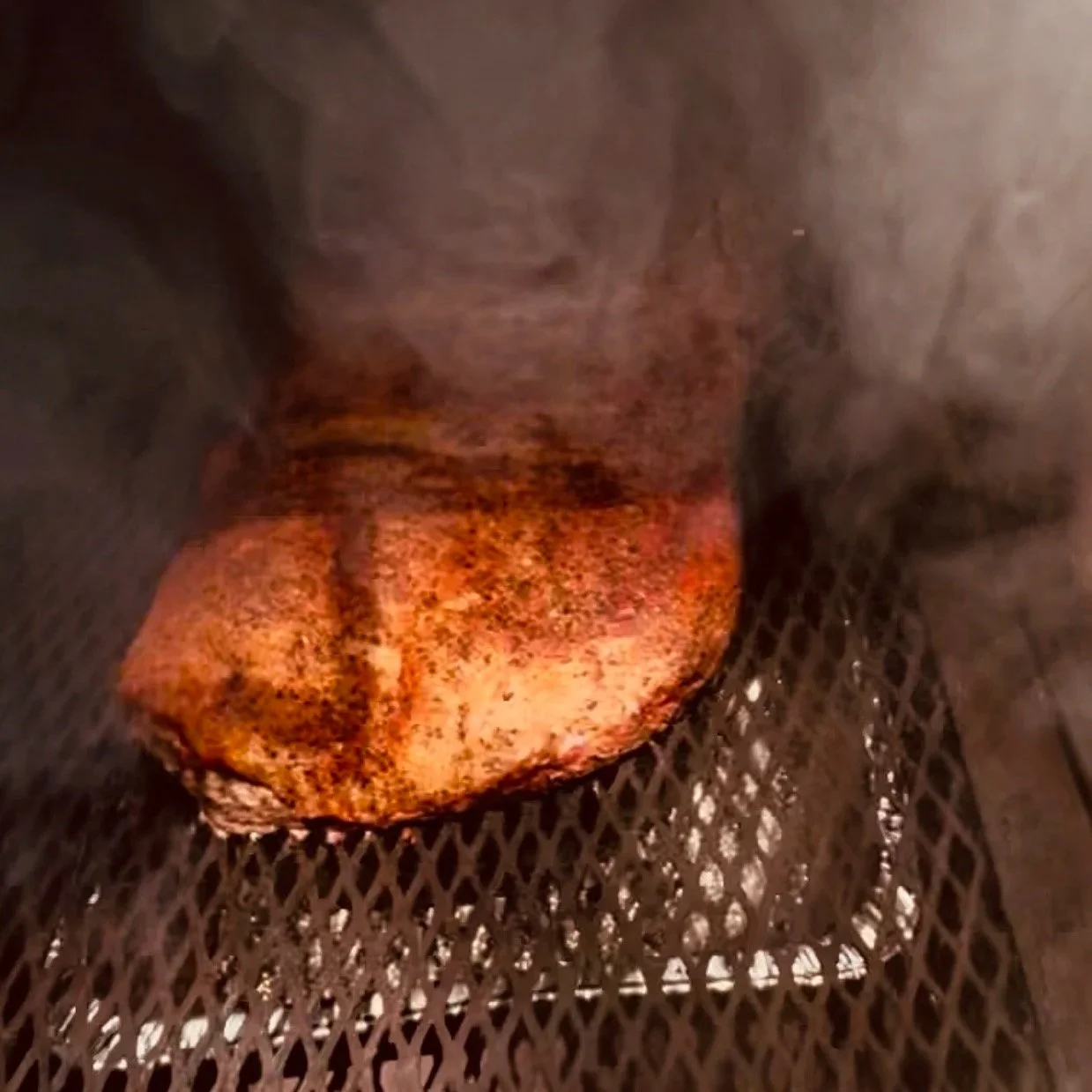 A close-up view of a rock with a reddish-brown coloration, positioned inside a metal mesh grill or grate.