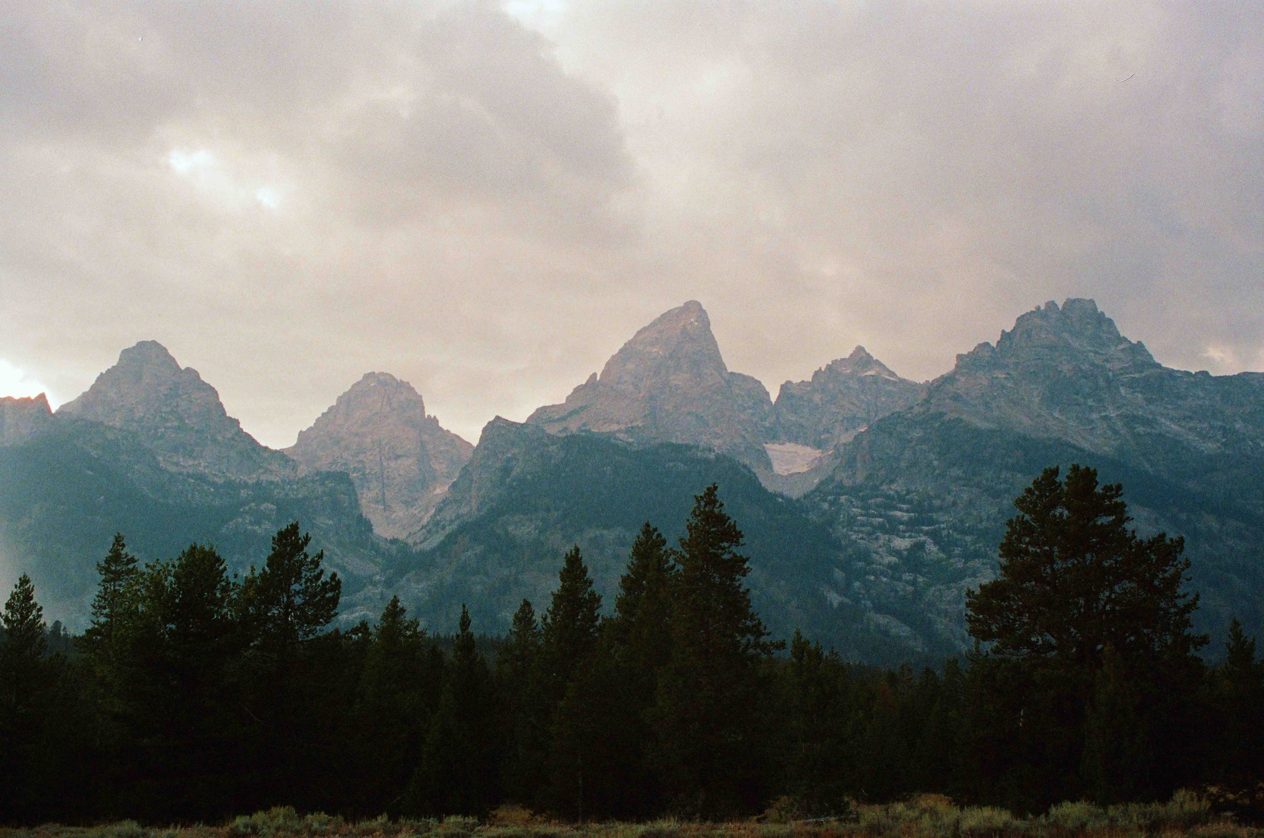 Mountain range under cloudy sky with trees in the foreground.