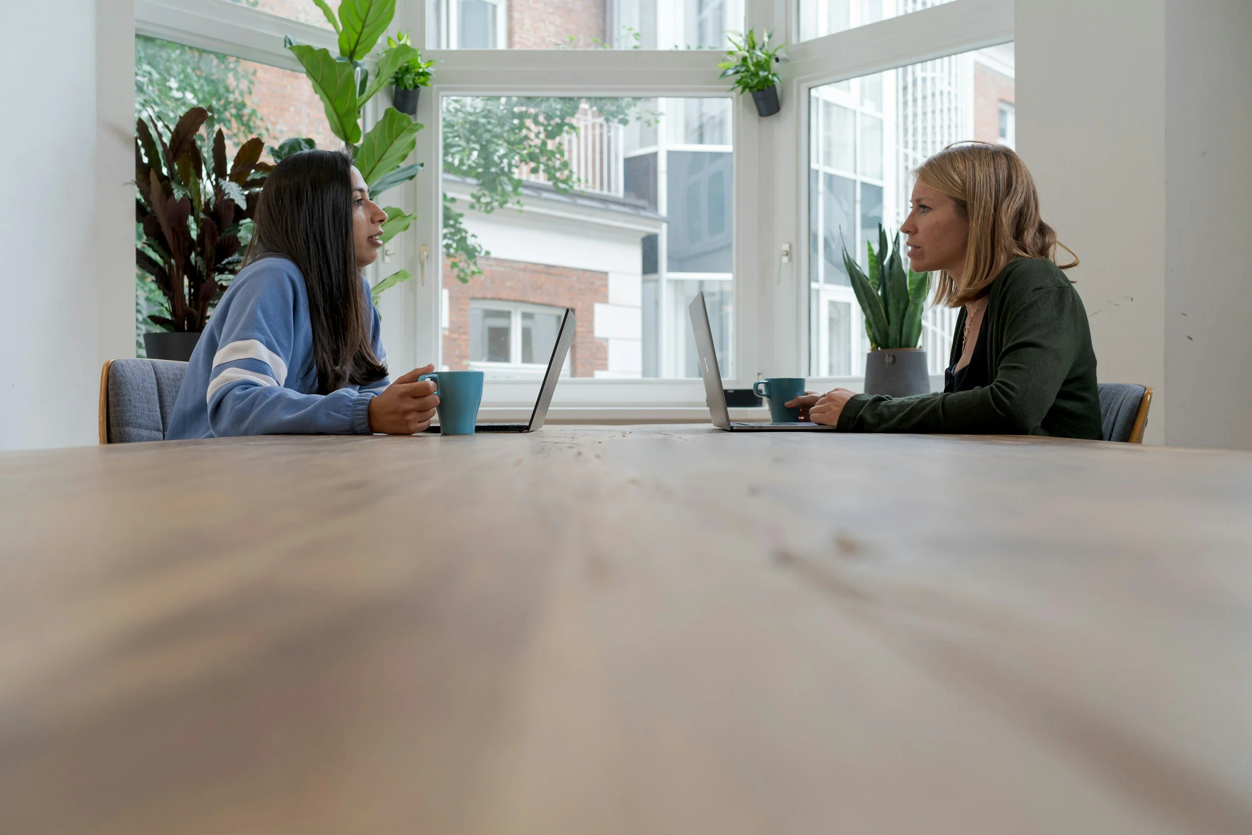 Two women are sitting at a wooden table, facing each other, each holding a blue mug, with laptops in front of them, in a bright room with large windows and green plants.