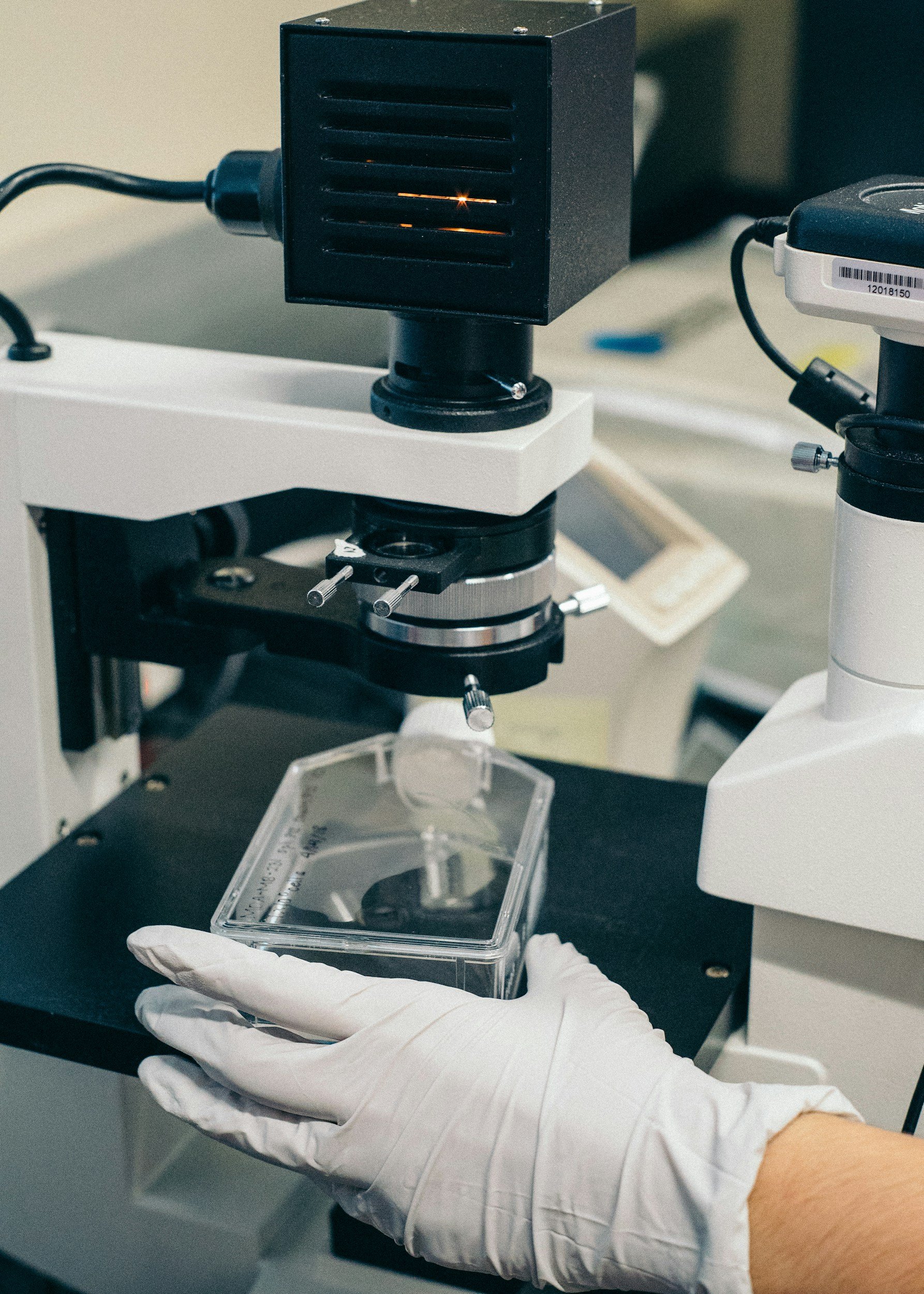 Person wearing white gloves handling a petri dish under a microscope in a laboratory setting.