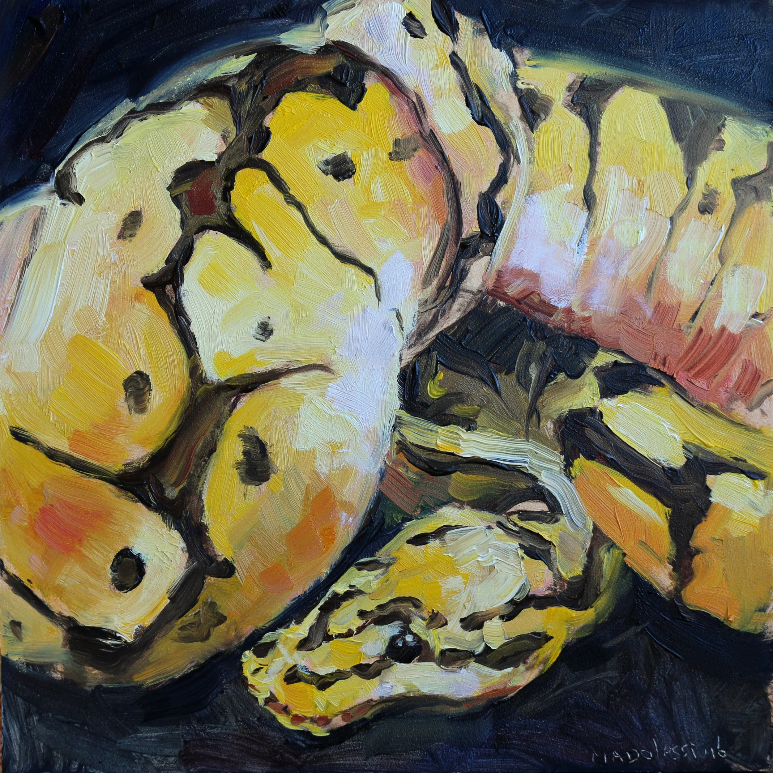 "Ball python", 15x15 cm, oil on panel