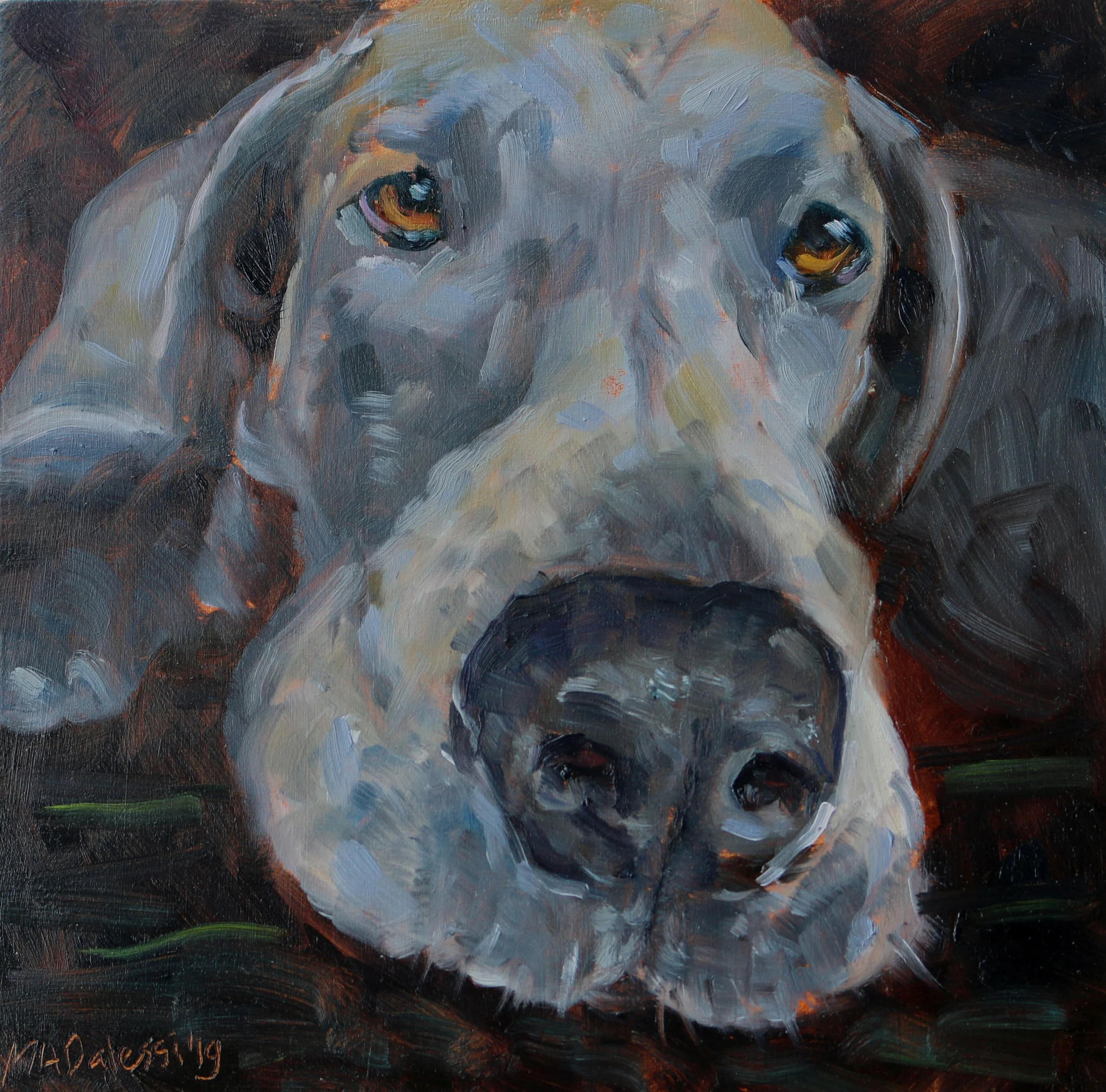 "Blauwe Duitse dog", 15x15 cm, oil on panel